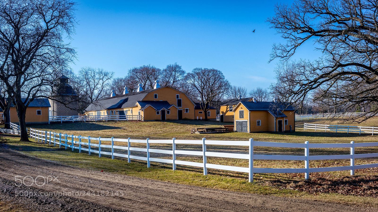 Leica M (Typ 240) sample photo. St james farm photography