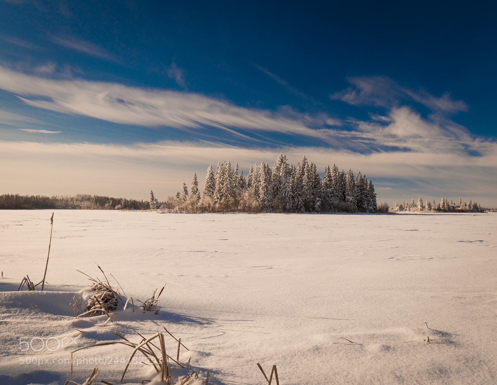 Nikon D810 sample photo. Astotin island photography