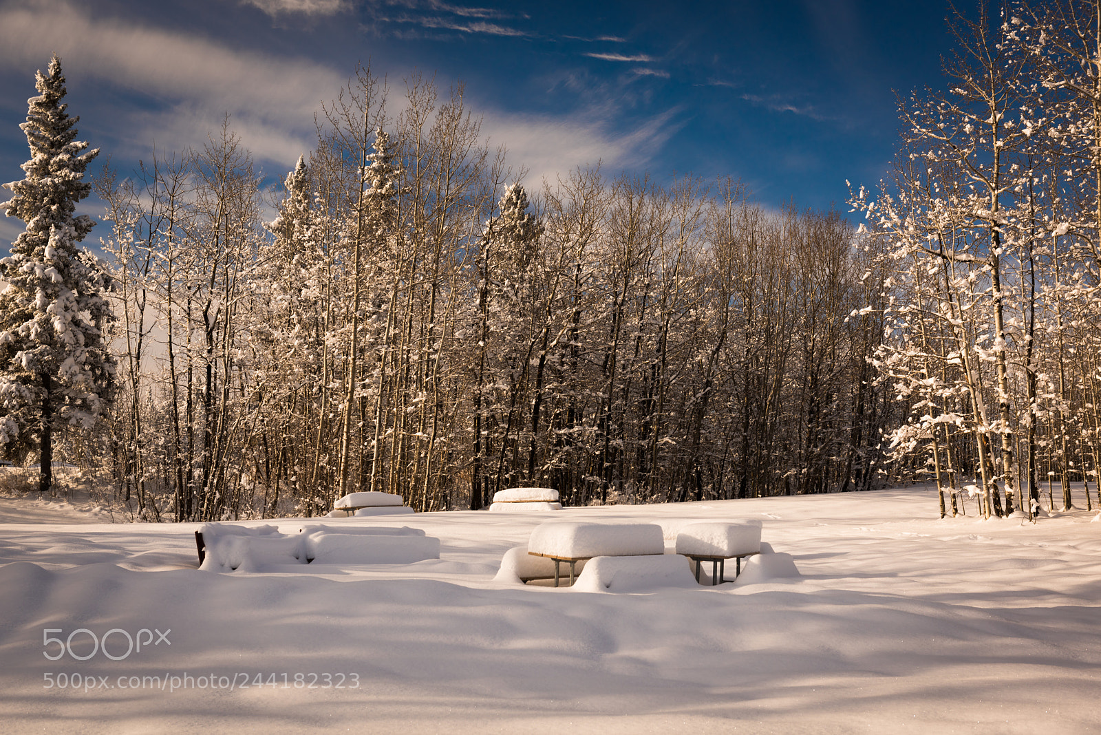 Nikon D810 sample photo. Picnic tables photography