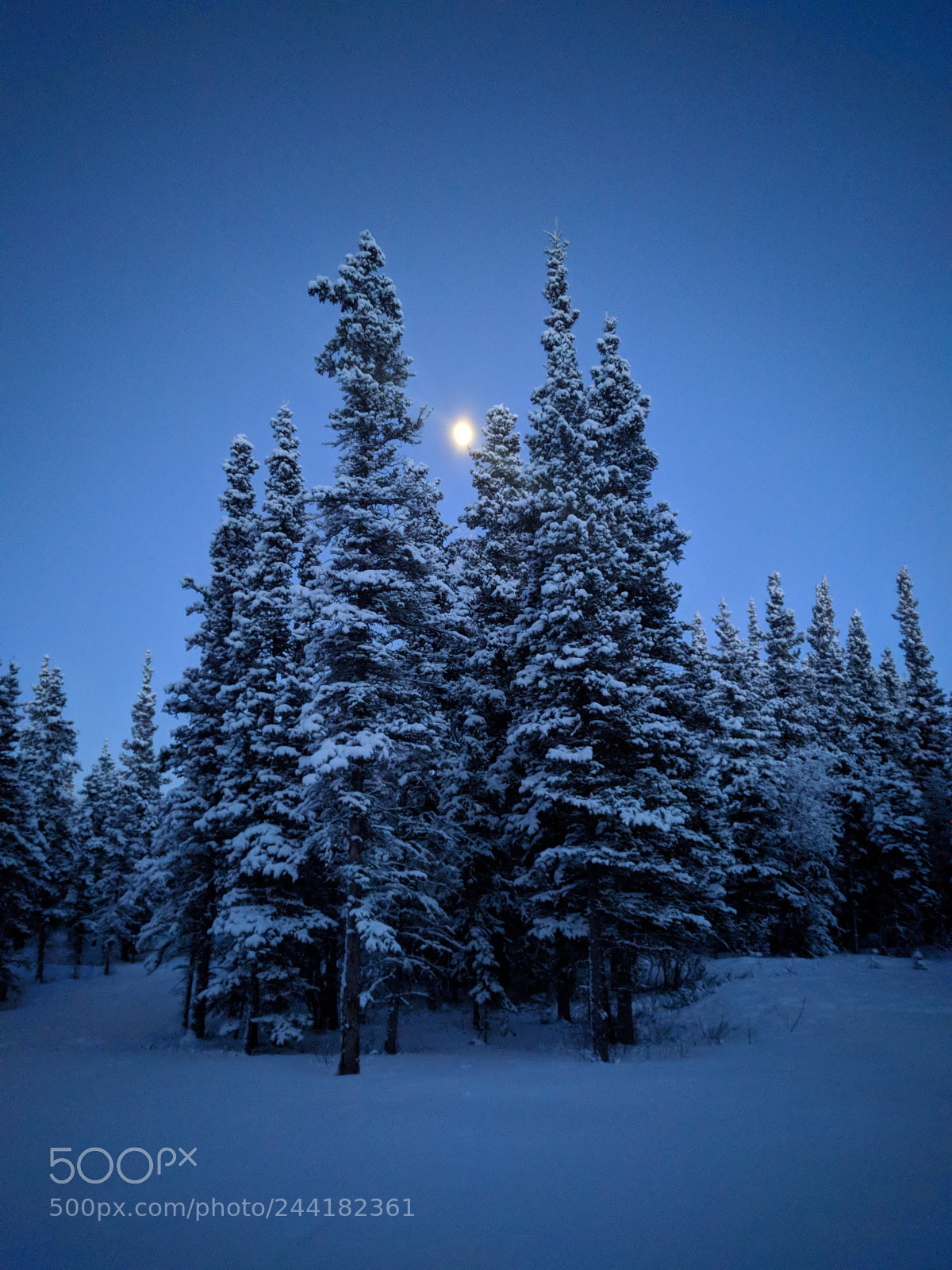 Google Nexus 6P sample photo. Moon in the frozen photography