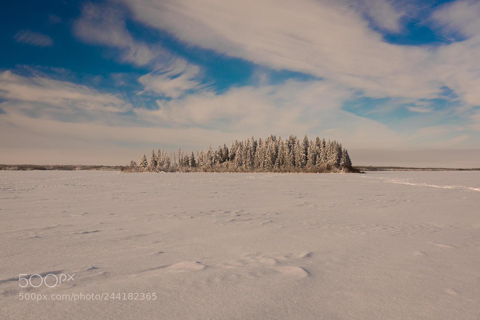 Nikon D810 sample photo. Astotin lake photography