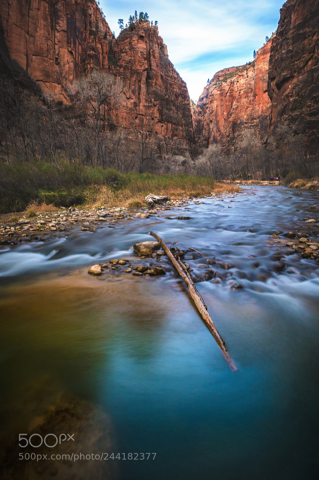 Nikon D800 sample photo. Stream in zion national photography