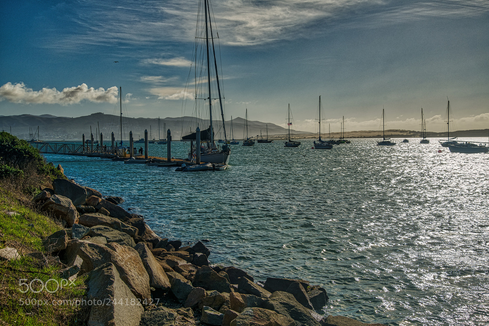 Nikon D850 sample photo. Peaceful morro bay photography