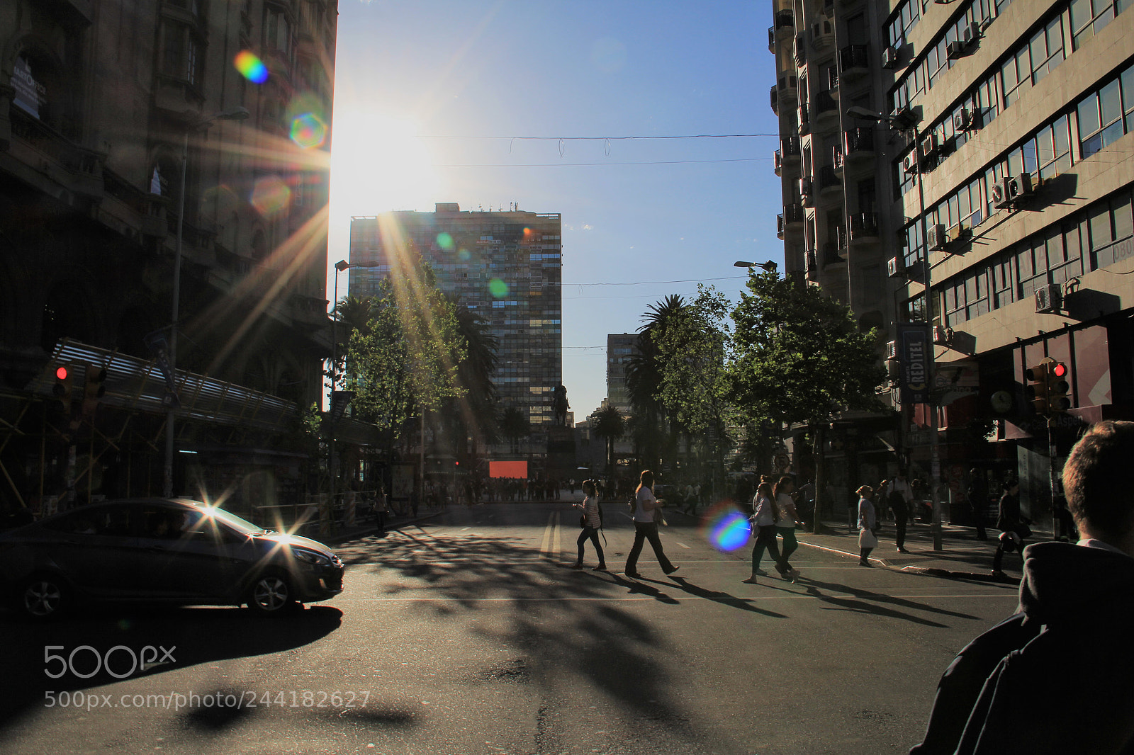 Canon EOS 60D sample photo. 26425393819.jpg photography