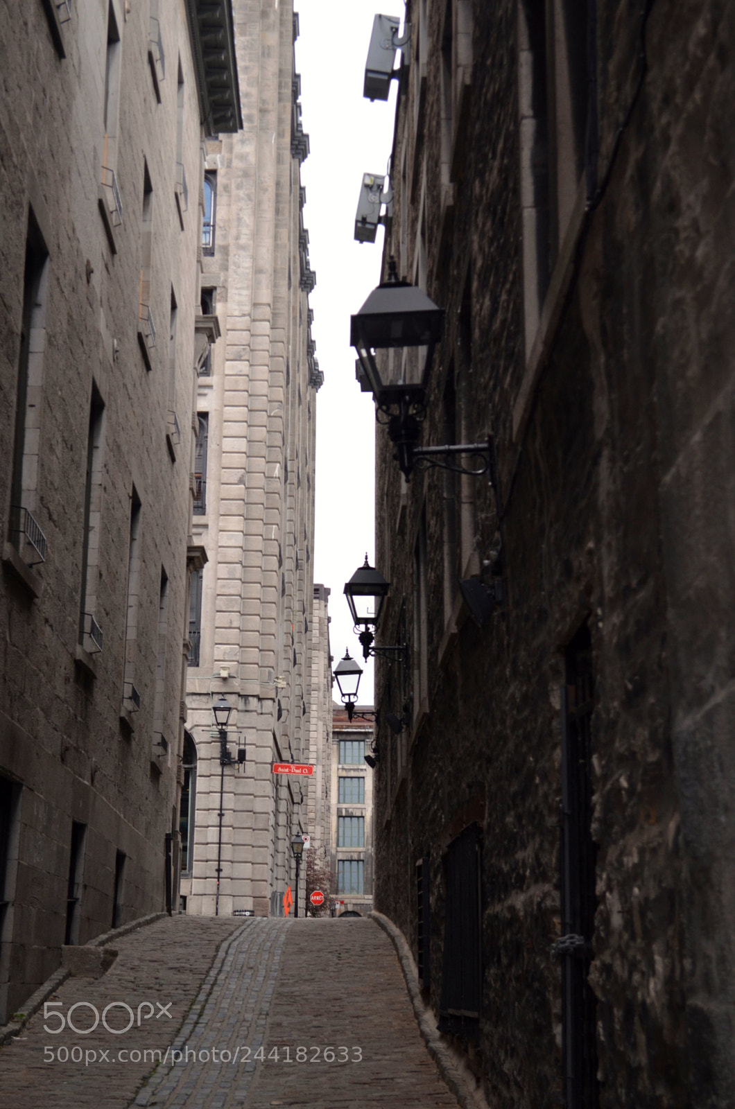 Nikon D5100 sample photo. Montreal photography