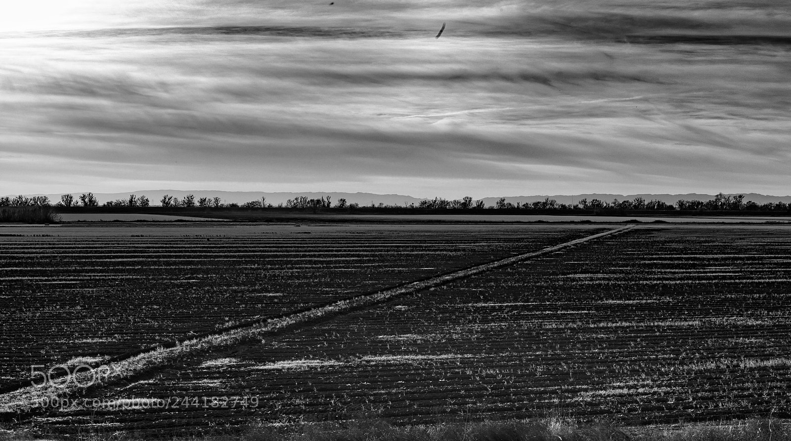 Leica M (Typ 240) sample photo. Fallow winter fields photography