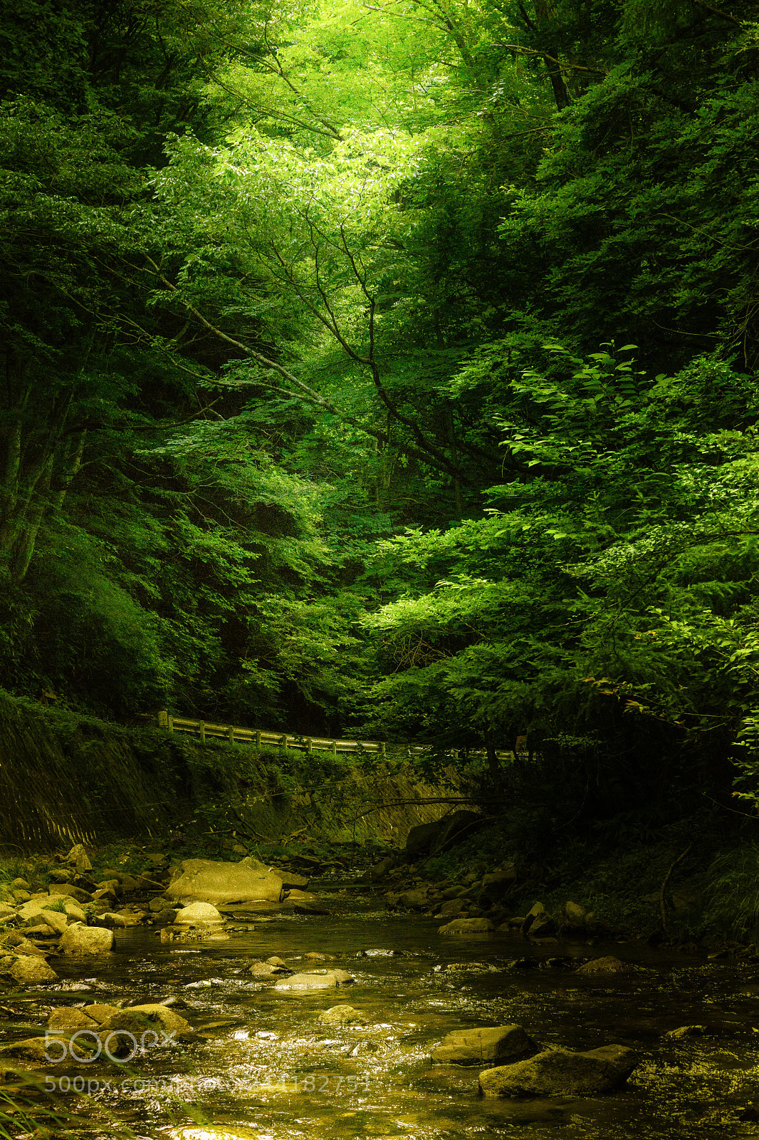 Sony SLT-A65 (SLT-A65V) sample photo. Doko photography