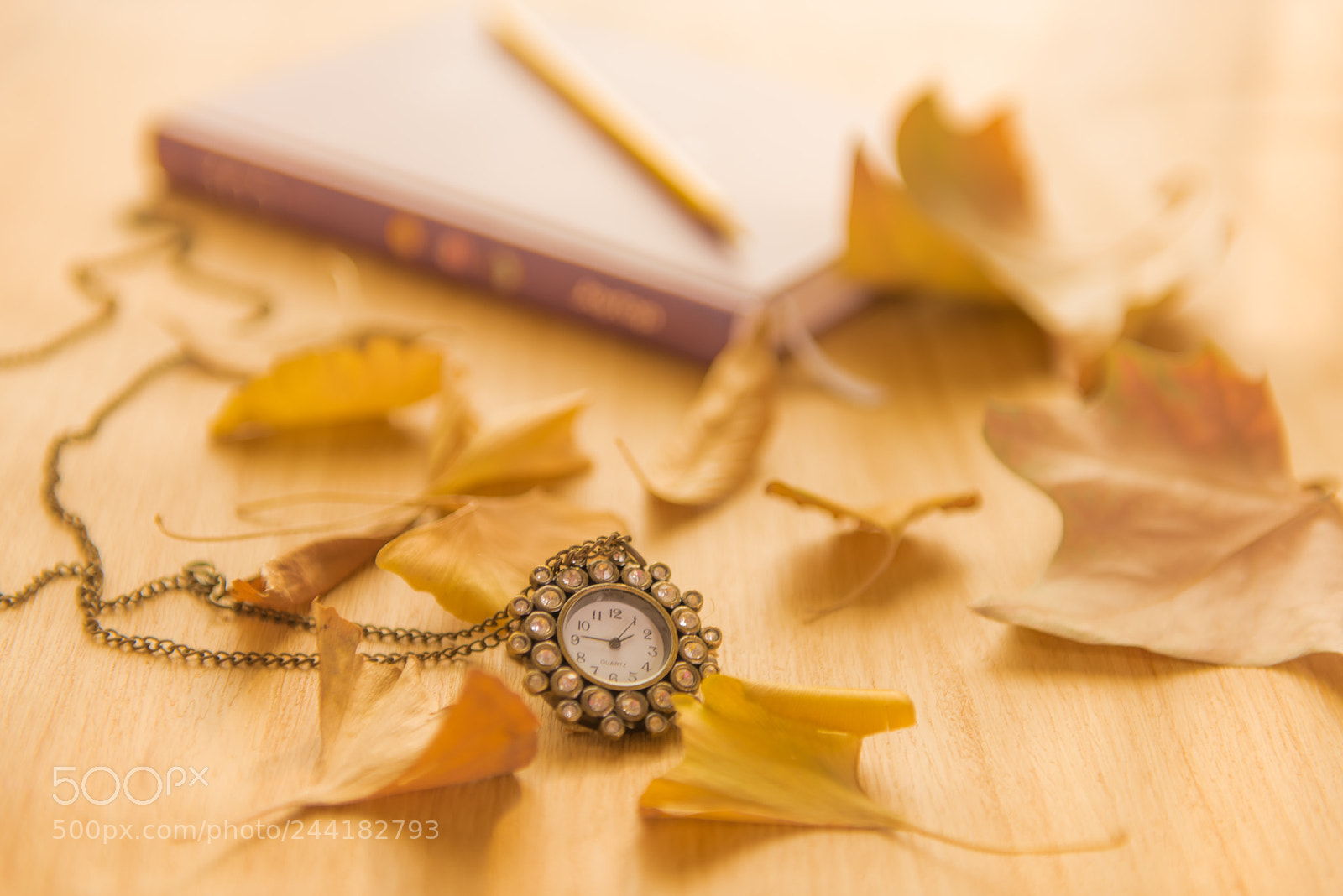 Nikon D810 sample photo. Afternoon photography