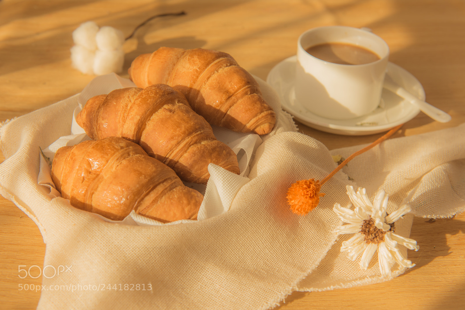Nikon D810 sample photo. Afternoon photography