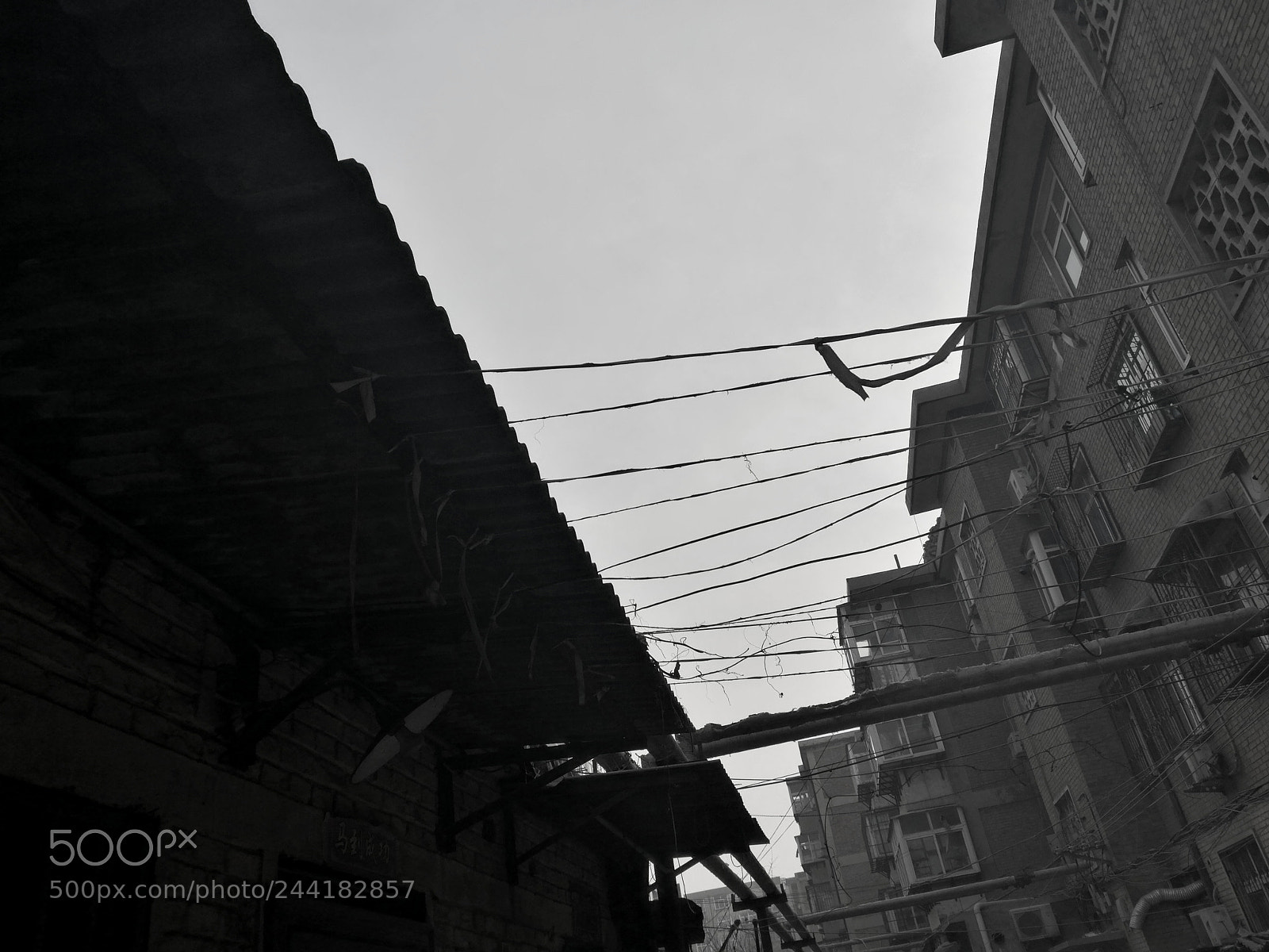 HUAWEI Honor 8 sample photo. Untitled photography