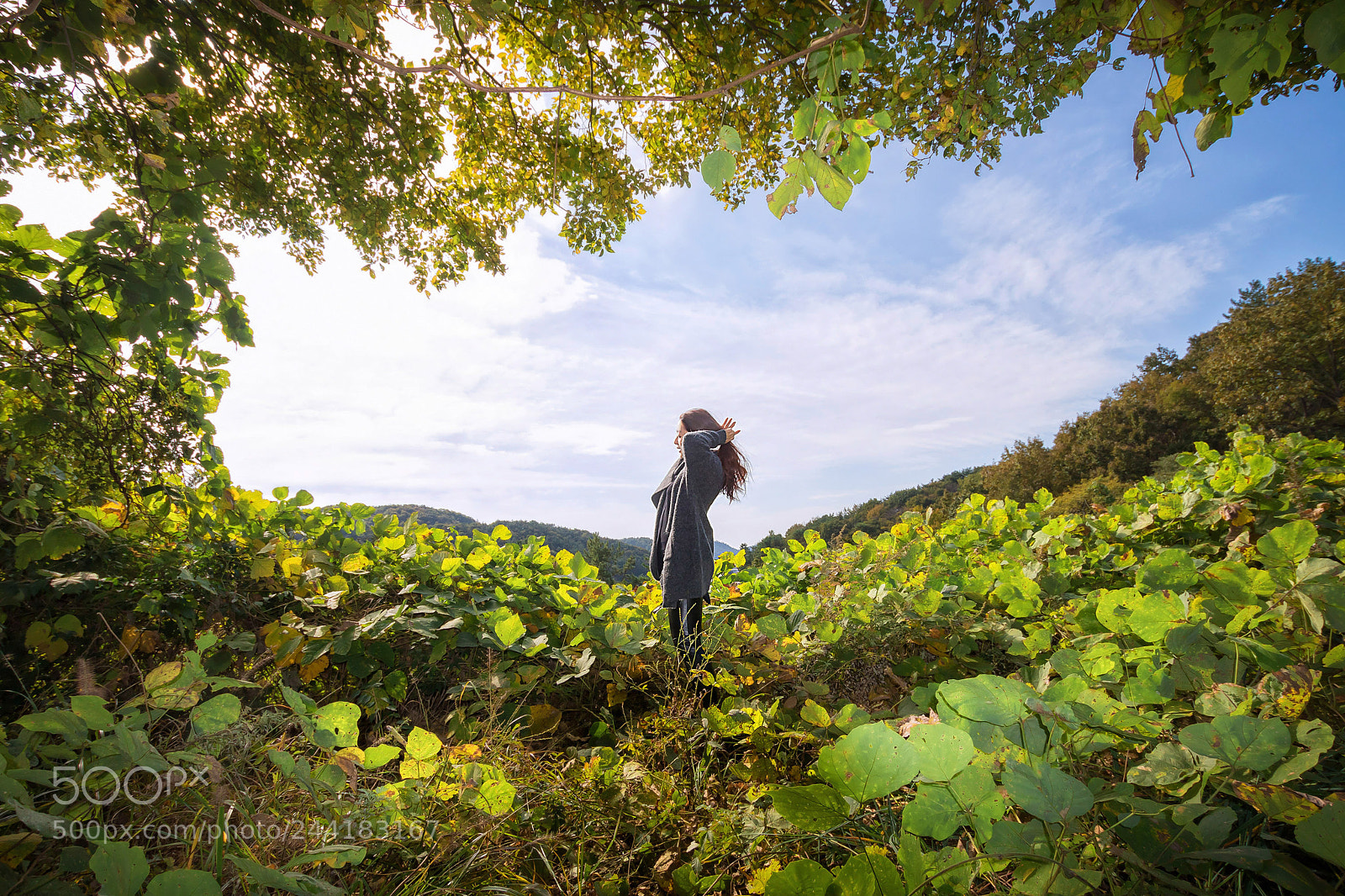 Canon EOS 7D Mark II sample photo. When the wind blows photography
