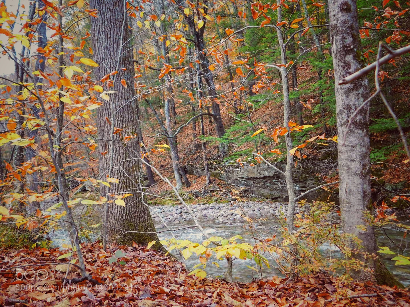 Nikon Coolpix B500 sample photo. November photography