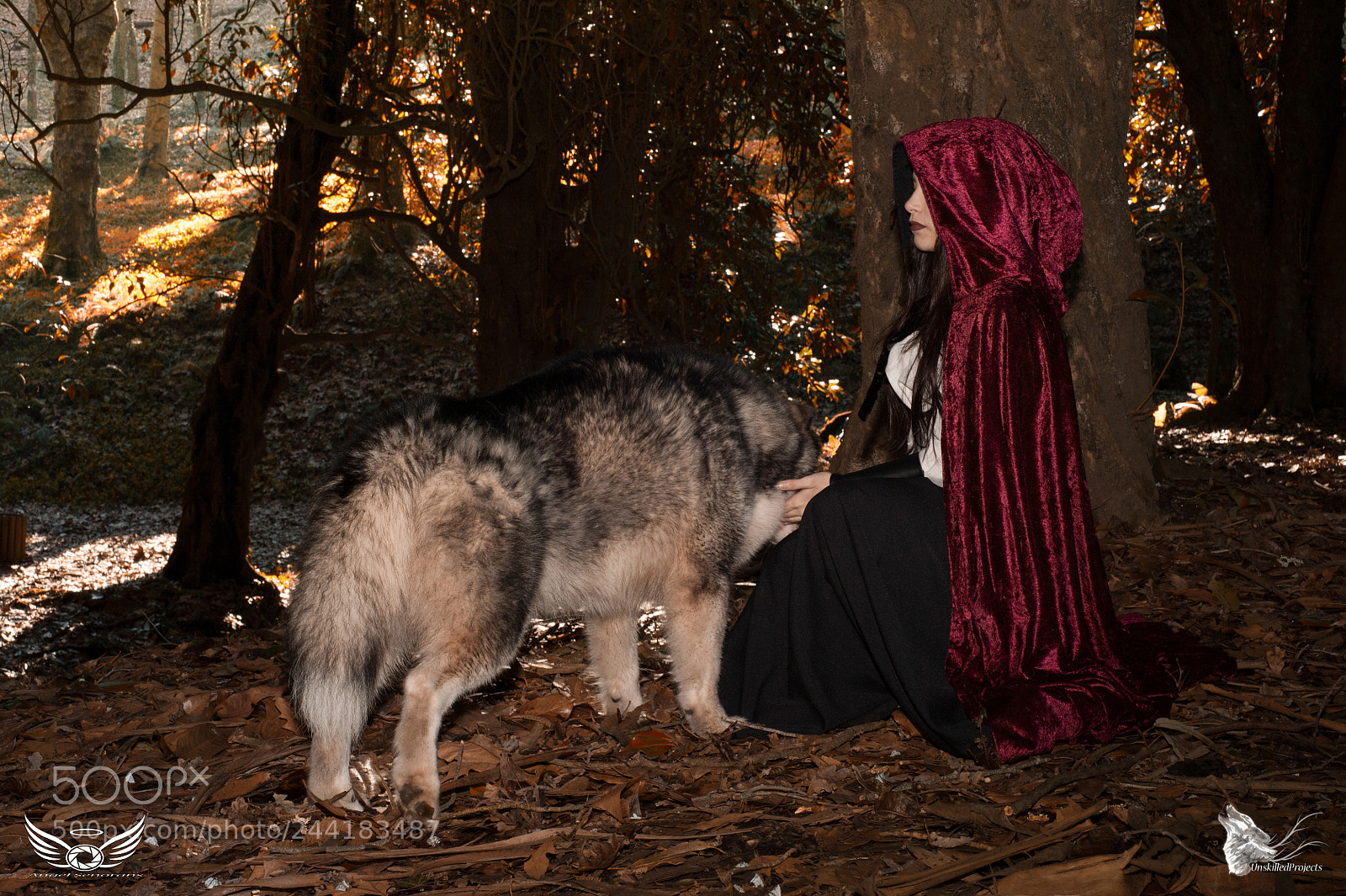 Nikon D700 sample photo. _ret1430-1.jpg photography