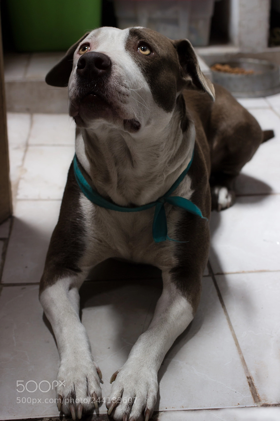 Canon EOS 600D (Rebel EOS T3i / EOS Kiss X5) sample photo. Arya mi vida photography