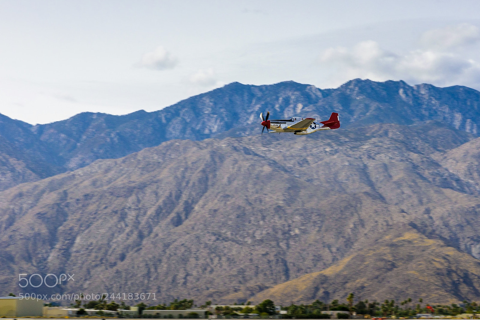 Nikon D810 sample photo. P51 mustang at palm photography