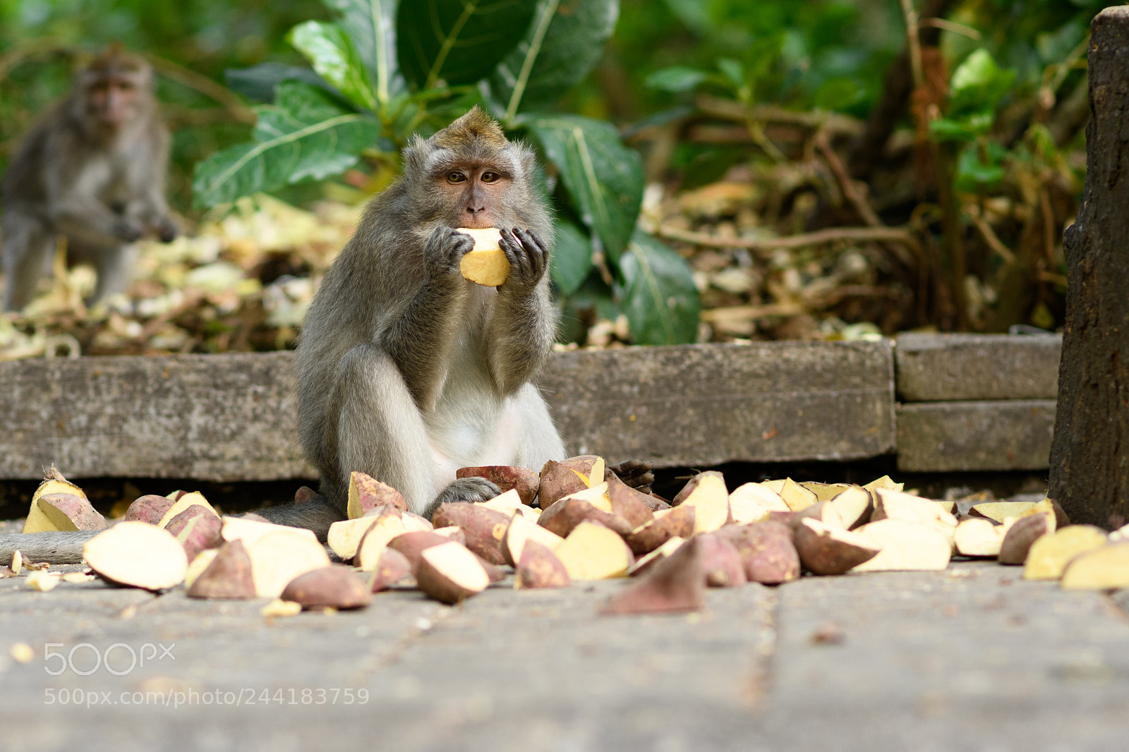Nikon D7500 sample photo. Dinner alone photography