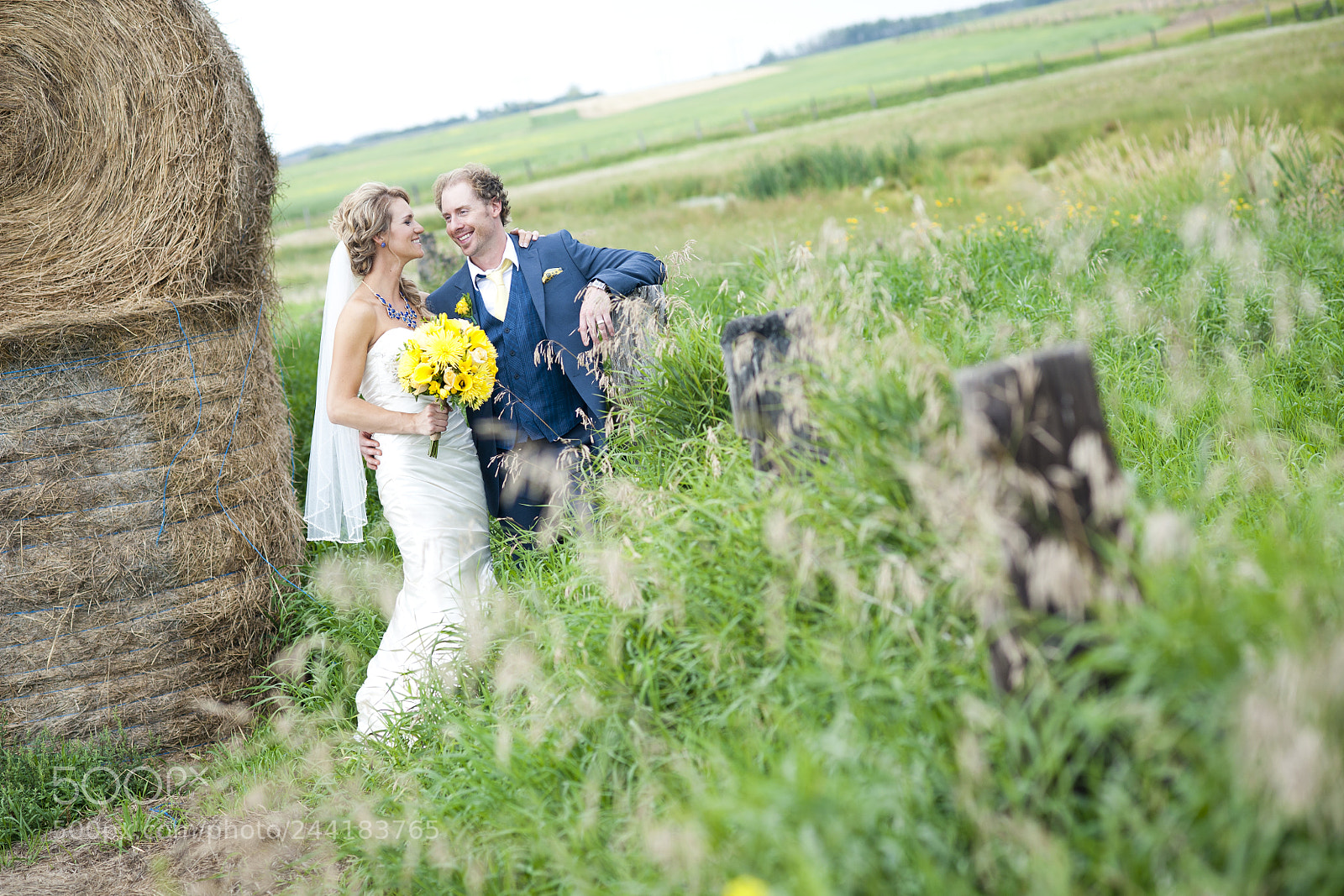 Nikon D700 sample photo. Jay + kim photography
