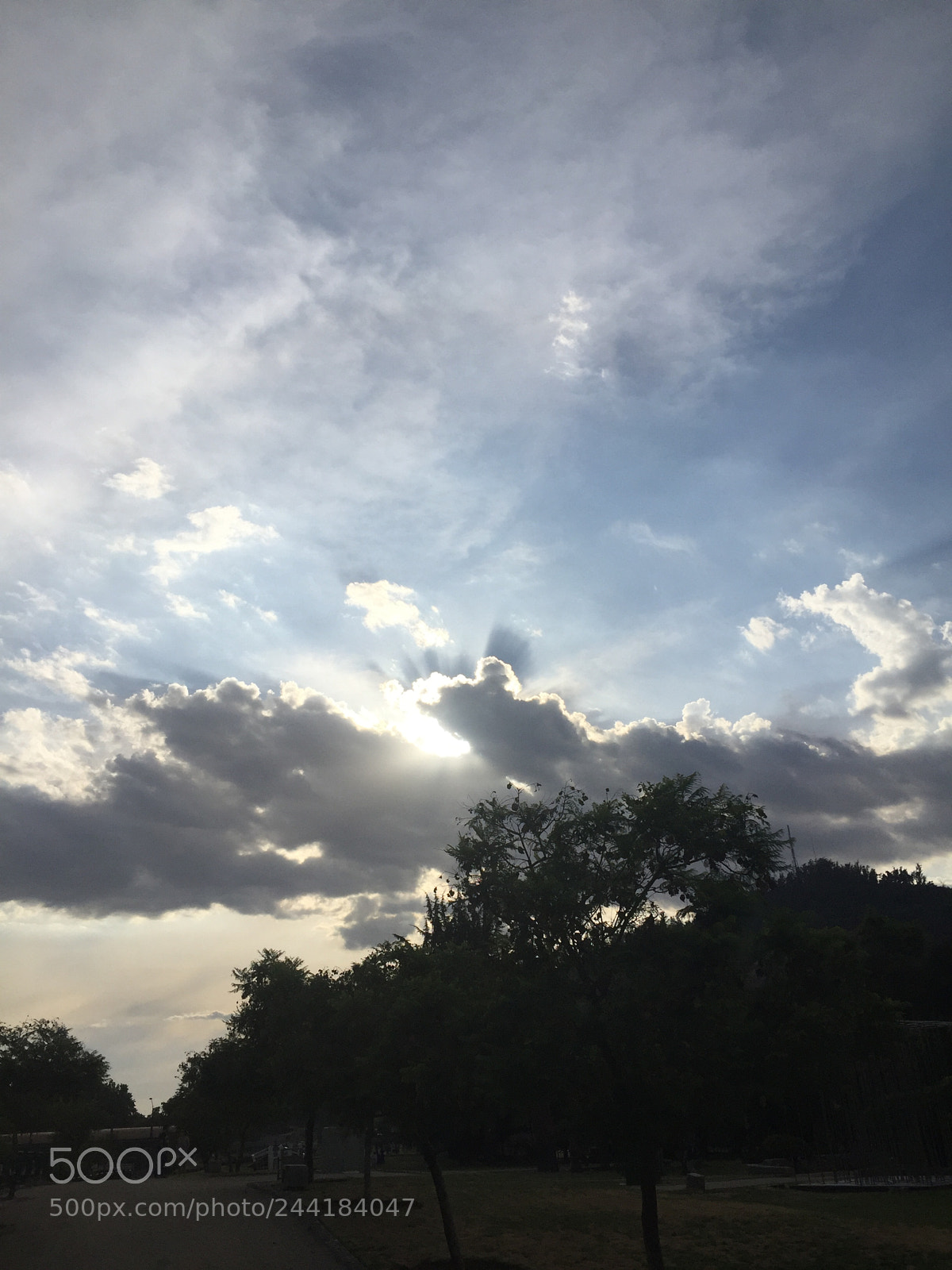 Apple iPhone 6 sample photo. Untitled photography