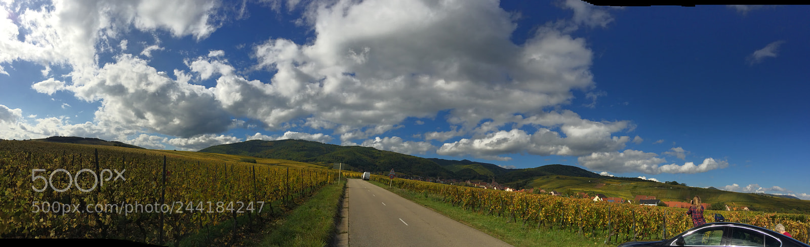 Apple iPhone 5s sample photo. French wine country. photography