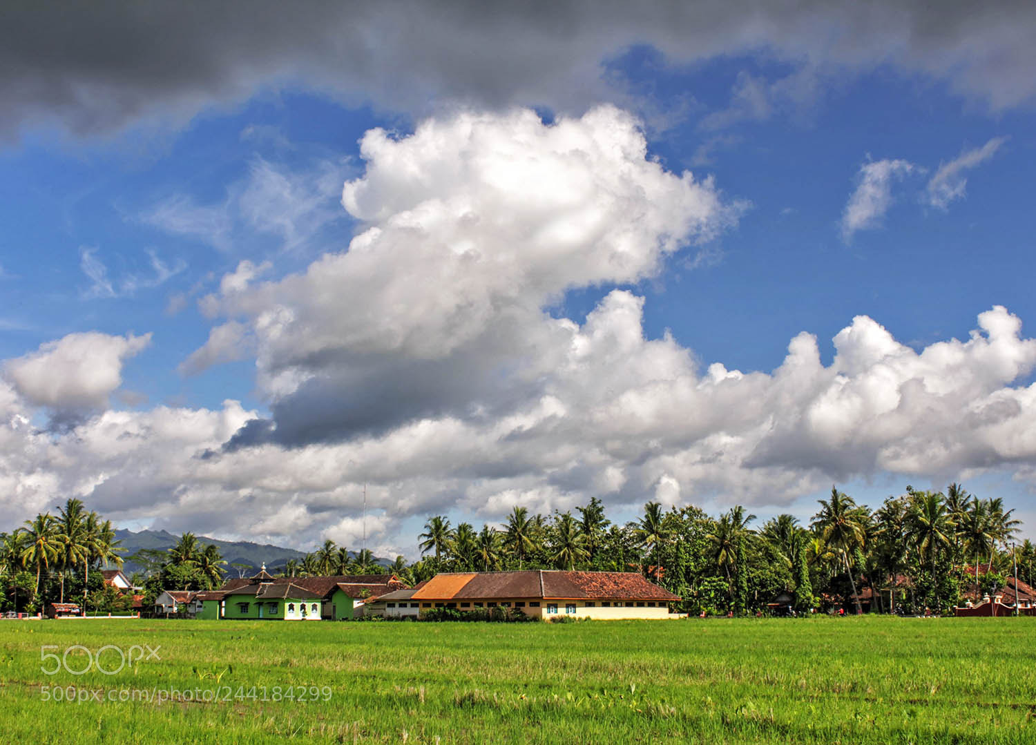 Canon EOS 650D (EOS Rebel T4i / EOS Kiss X6i) sample photo. My kampong photography