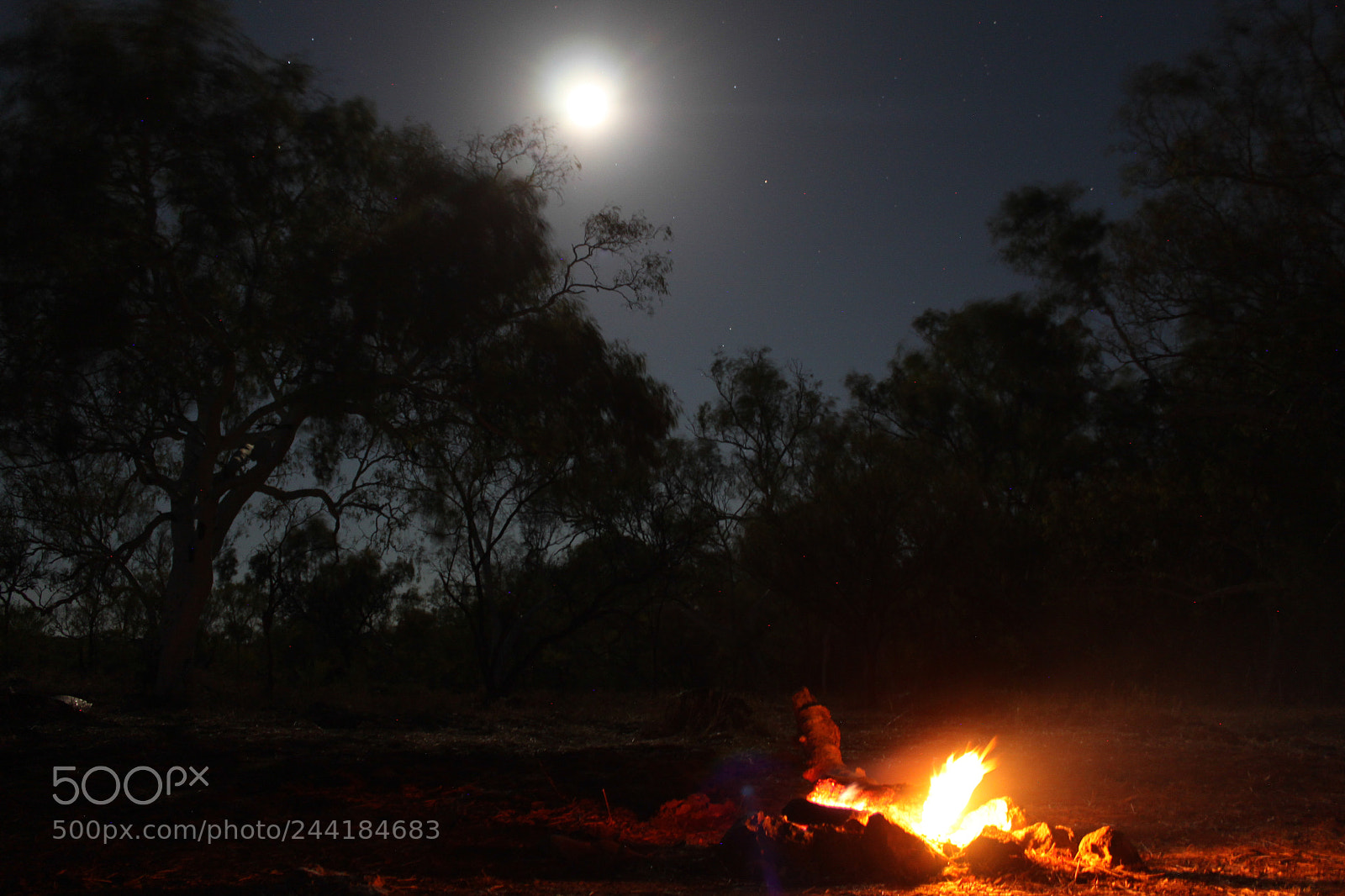 Canon EOS 500D (EOS Rebel T1i / EOS Kiss X3) sample photo. Outback campfire photography