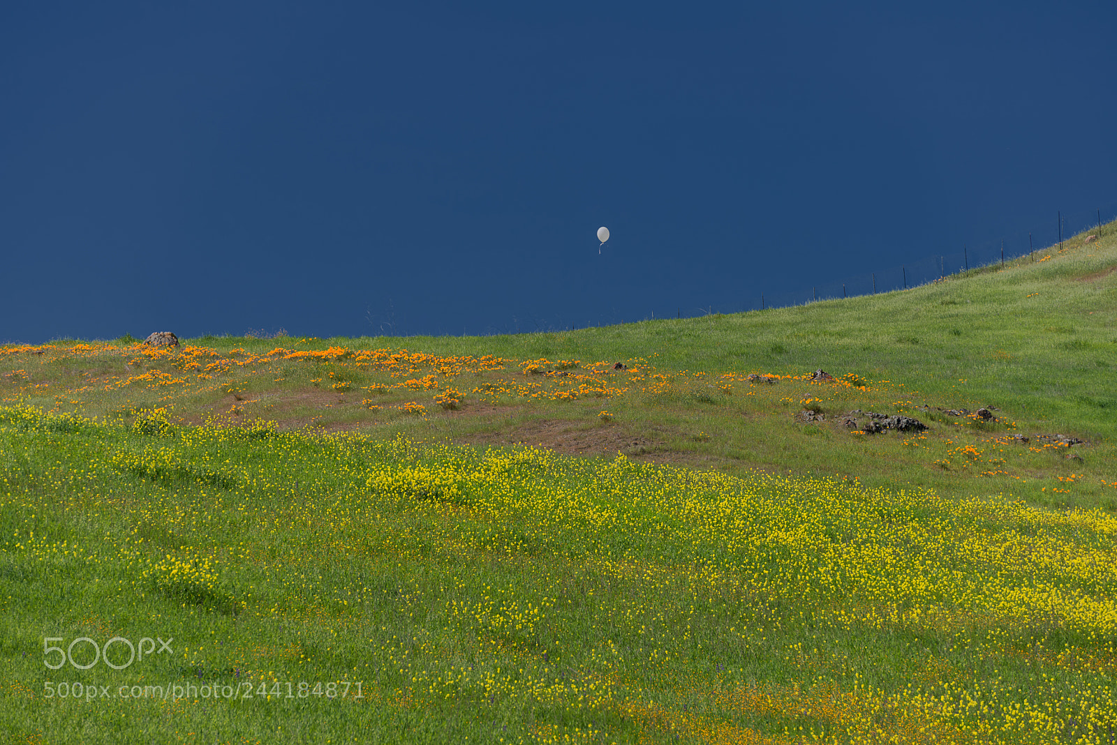 Nikon D800E sample photo. Floating balloon over communications photography