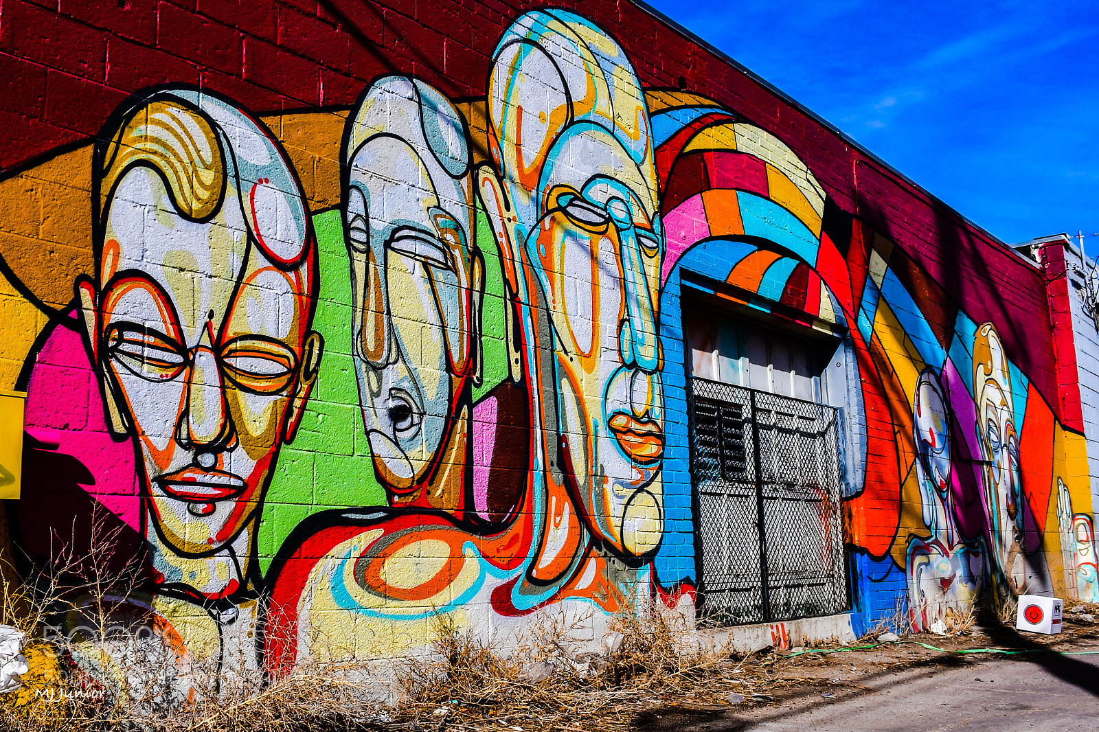 Nikon D7500 sample photo. Big heads... photography