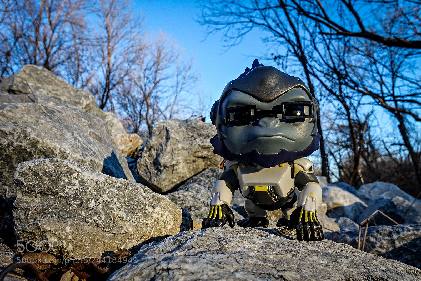 Sony Cyber-shot DSC-RX100 III sample photo. Winston - overwatch photography
