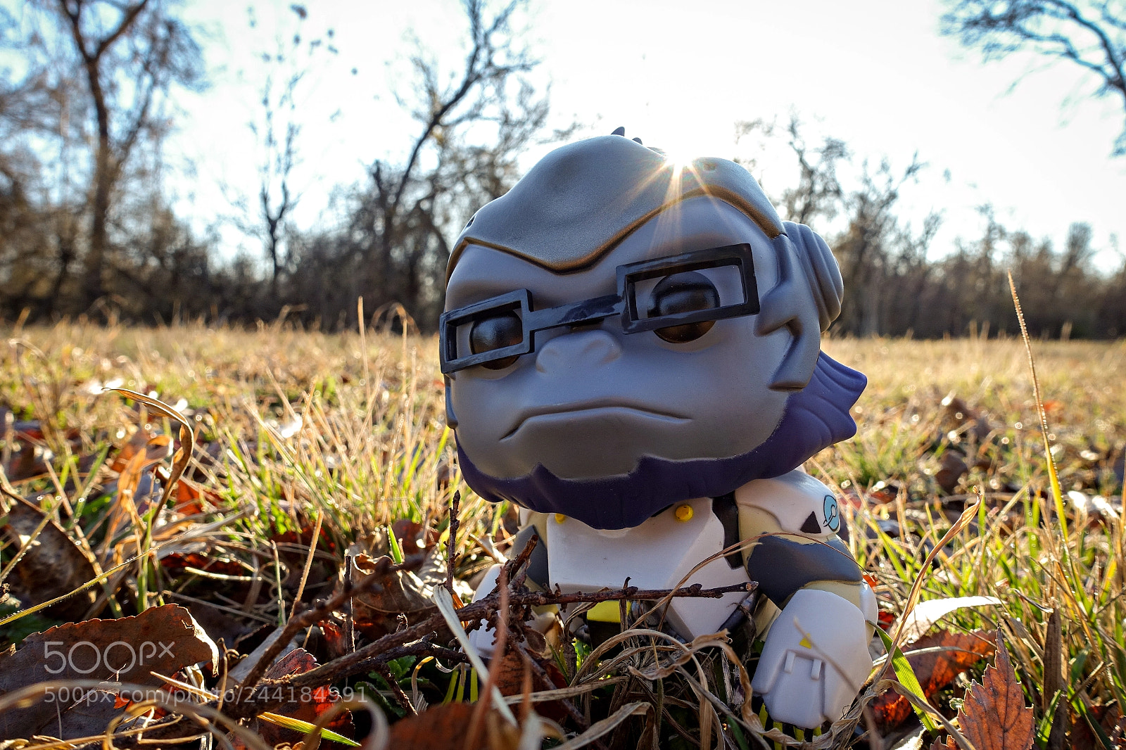 Sony Cyber-shot DSC-RX100 III sample photo. Winston - overwatch photography