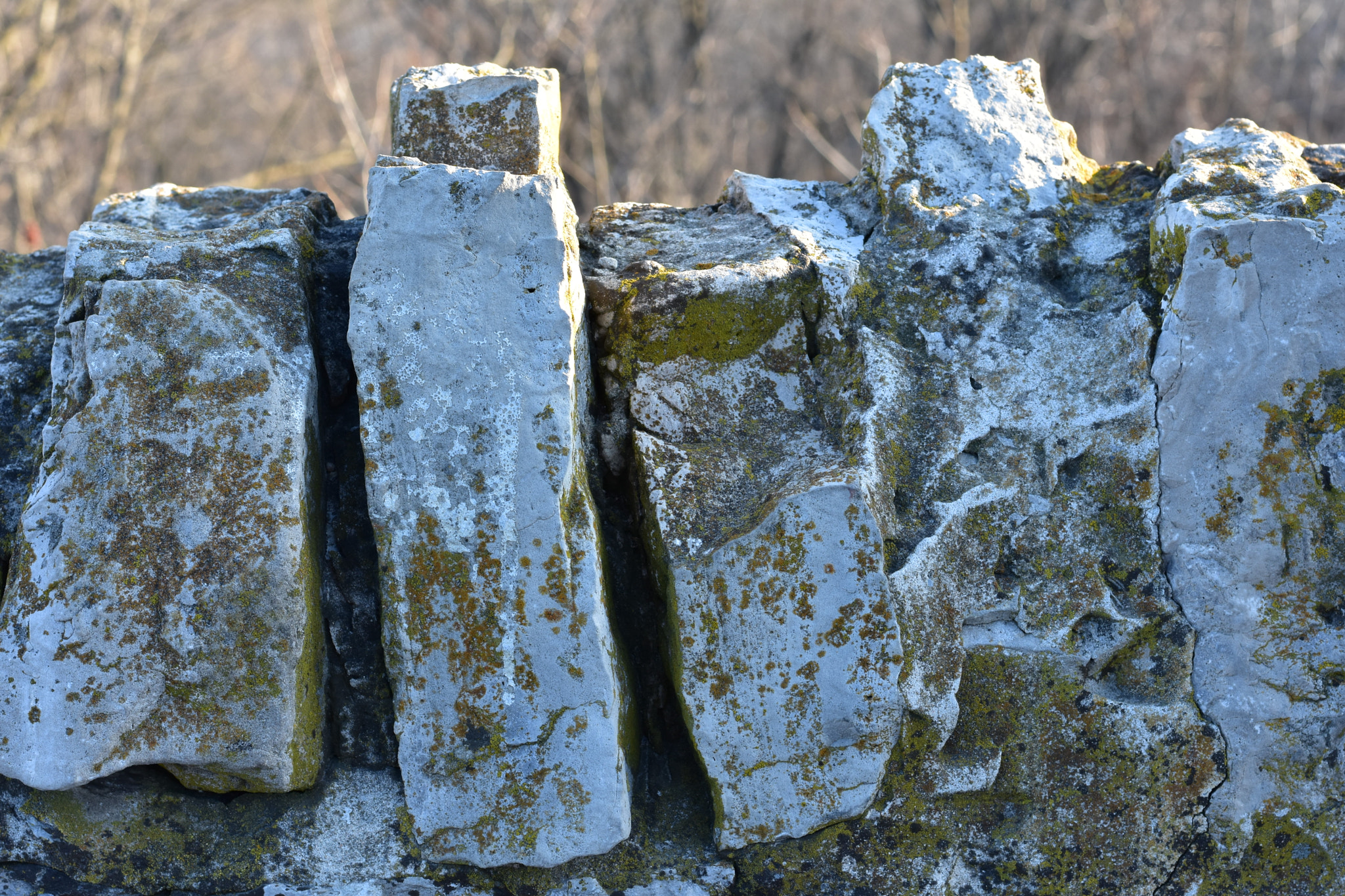 Nikon D3400 + Nikon AF-S Nikkor 50mm F1.8G sample photo. Texture culminating photography