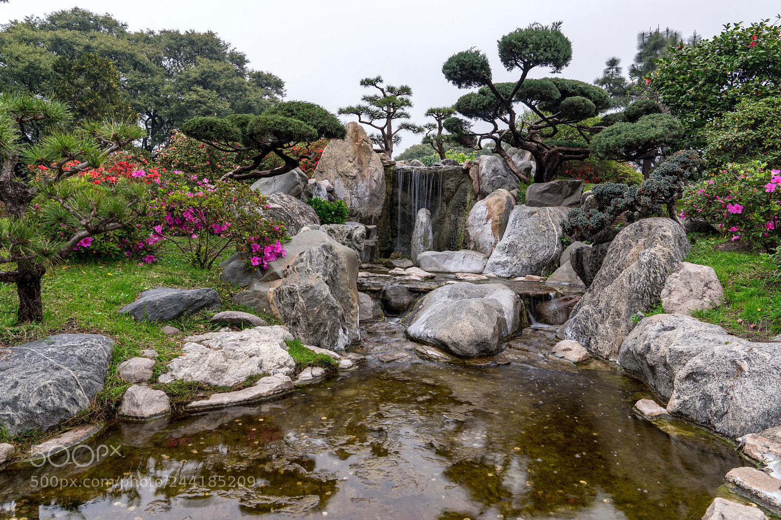 Sony a7 sample photo. Bonsai garden photography