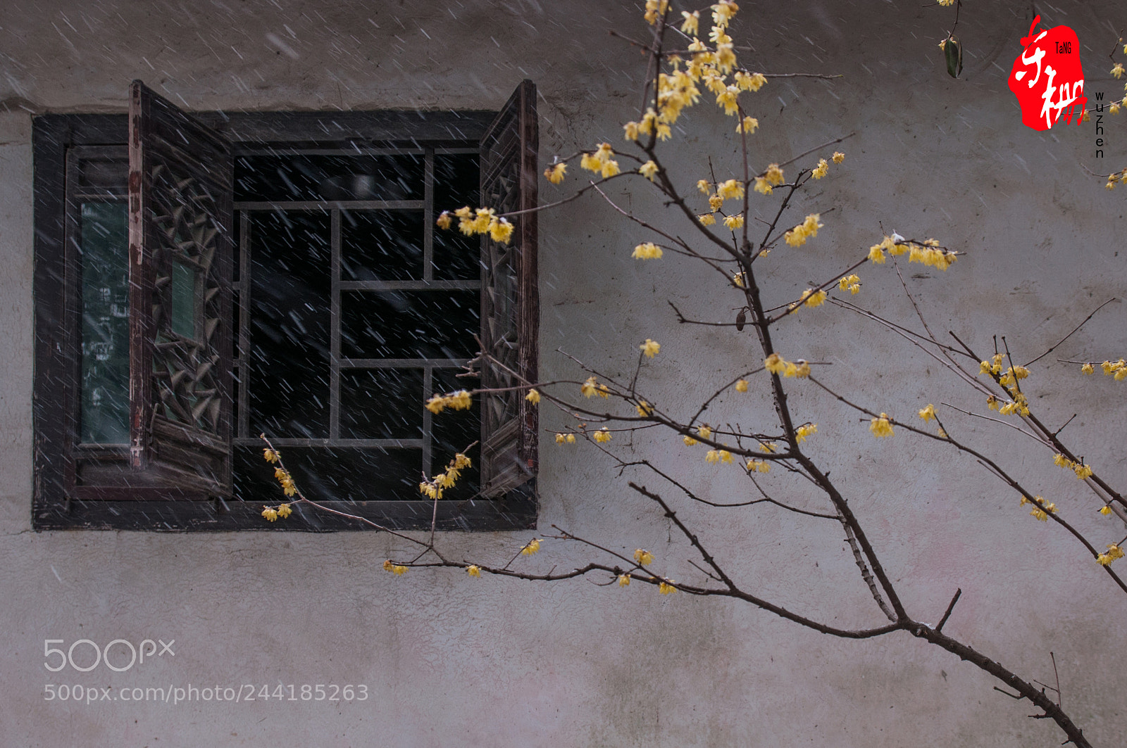 Nikon D90 sample photo. Wuzhen photography