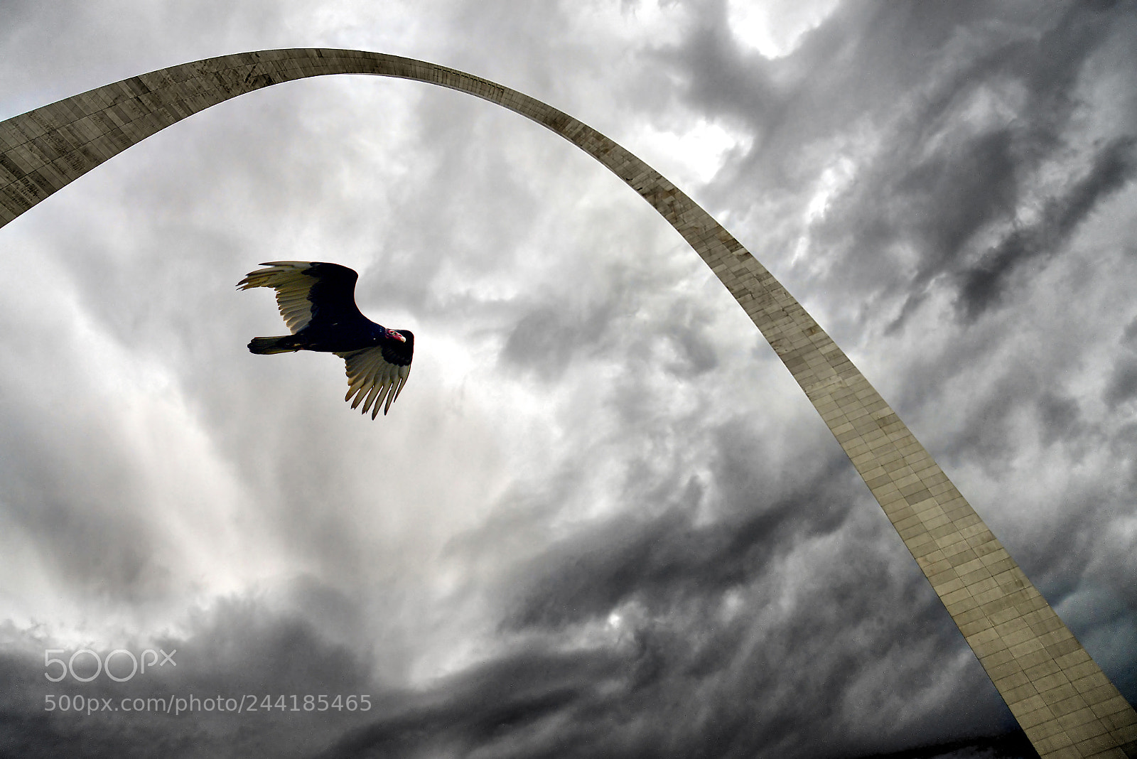 Nikon D800 sample photo. Arch to sky with photography
