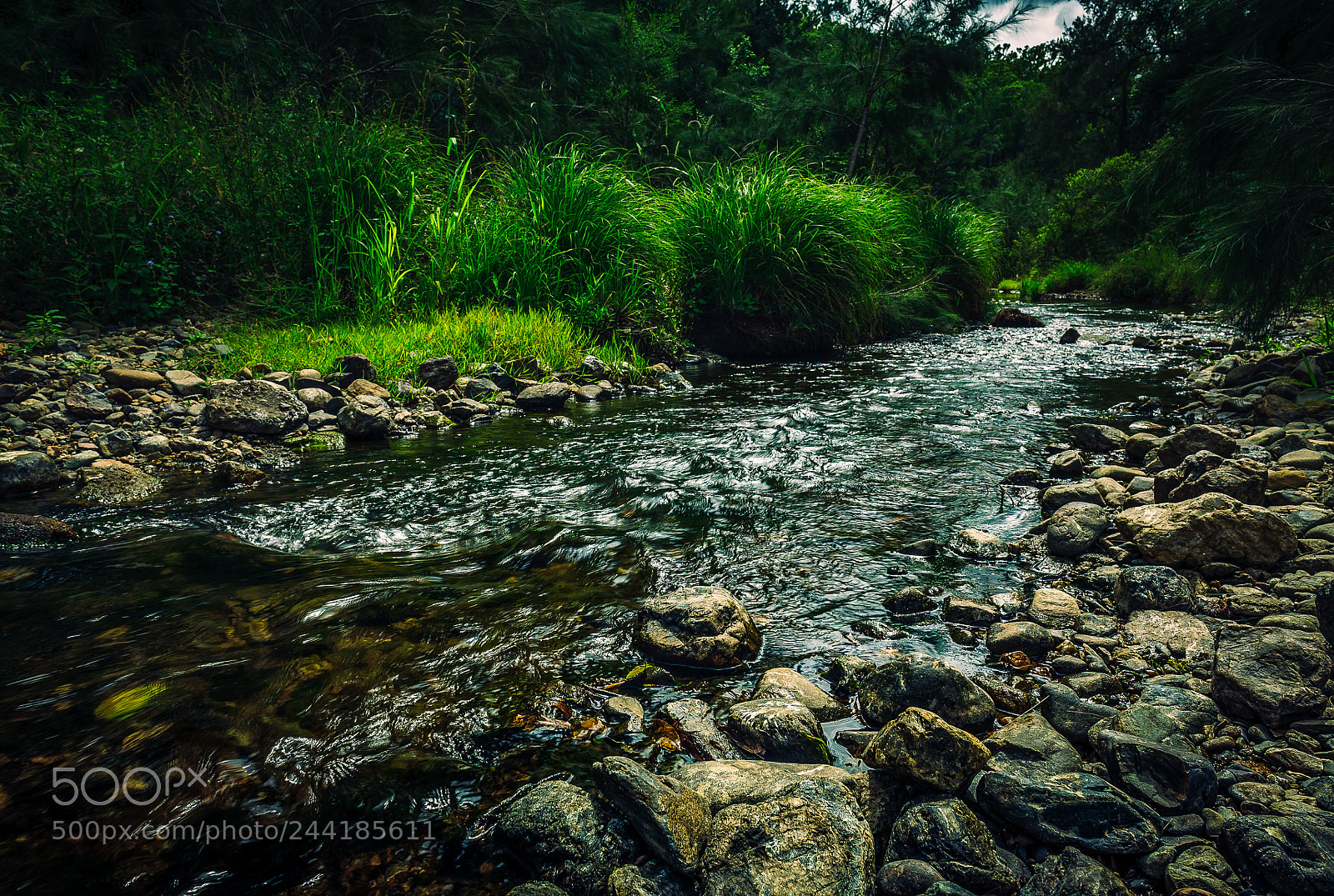 Canon EOS 5D sample photo. Lee's river crossing photography