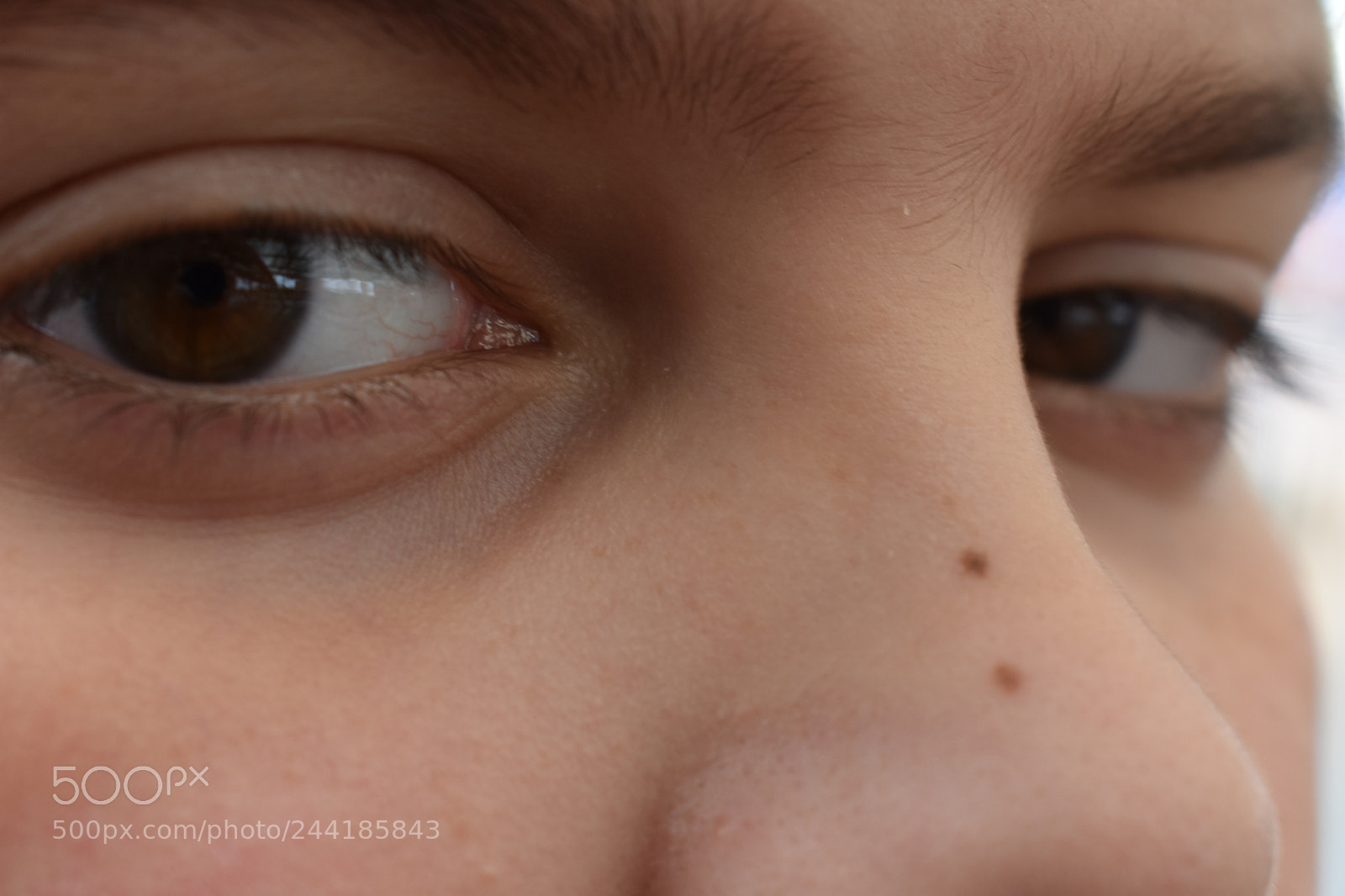 Nikon D3400 sample photo. Up close culminating photography