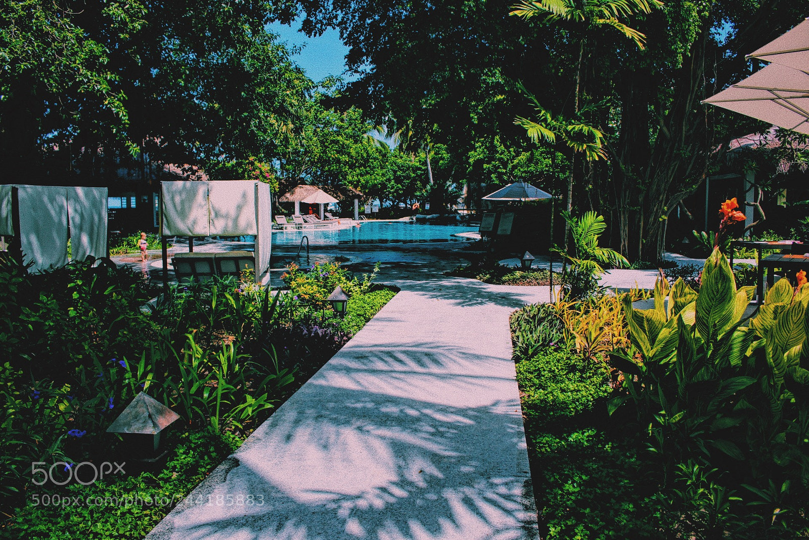 Canon EOS 100D (EOS Rebel SL1 / EOS Kiss X7) sample photo. Processed with vsco with photography