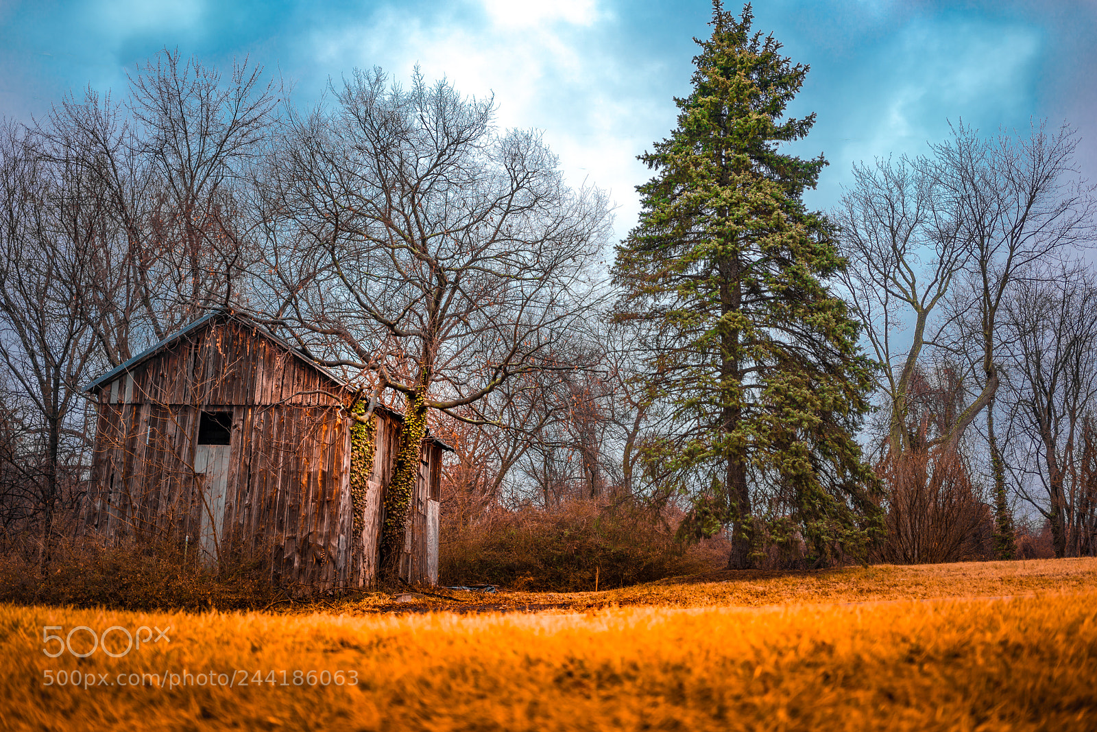 Sony a7R III sample photo. Deserted shed photography