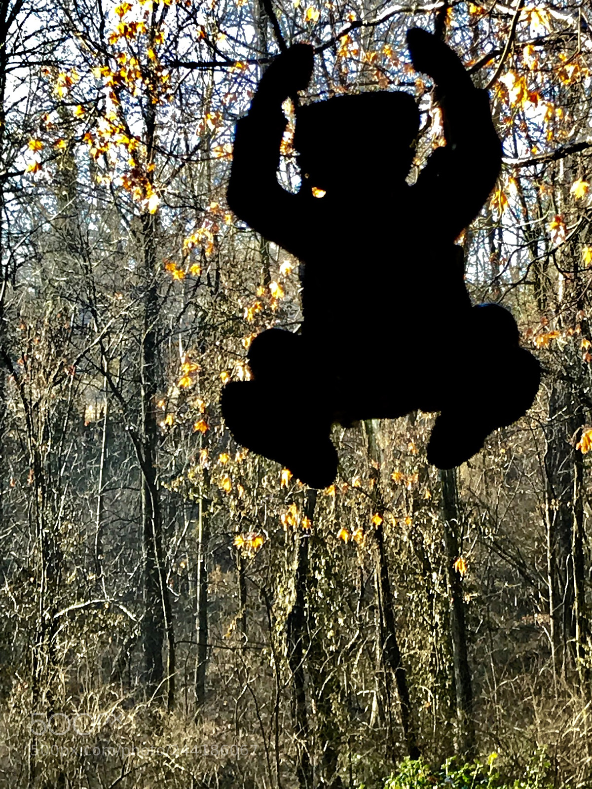 Apple iPhone 7 sample photo. Parachute man photography