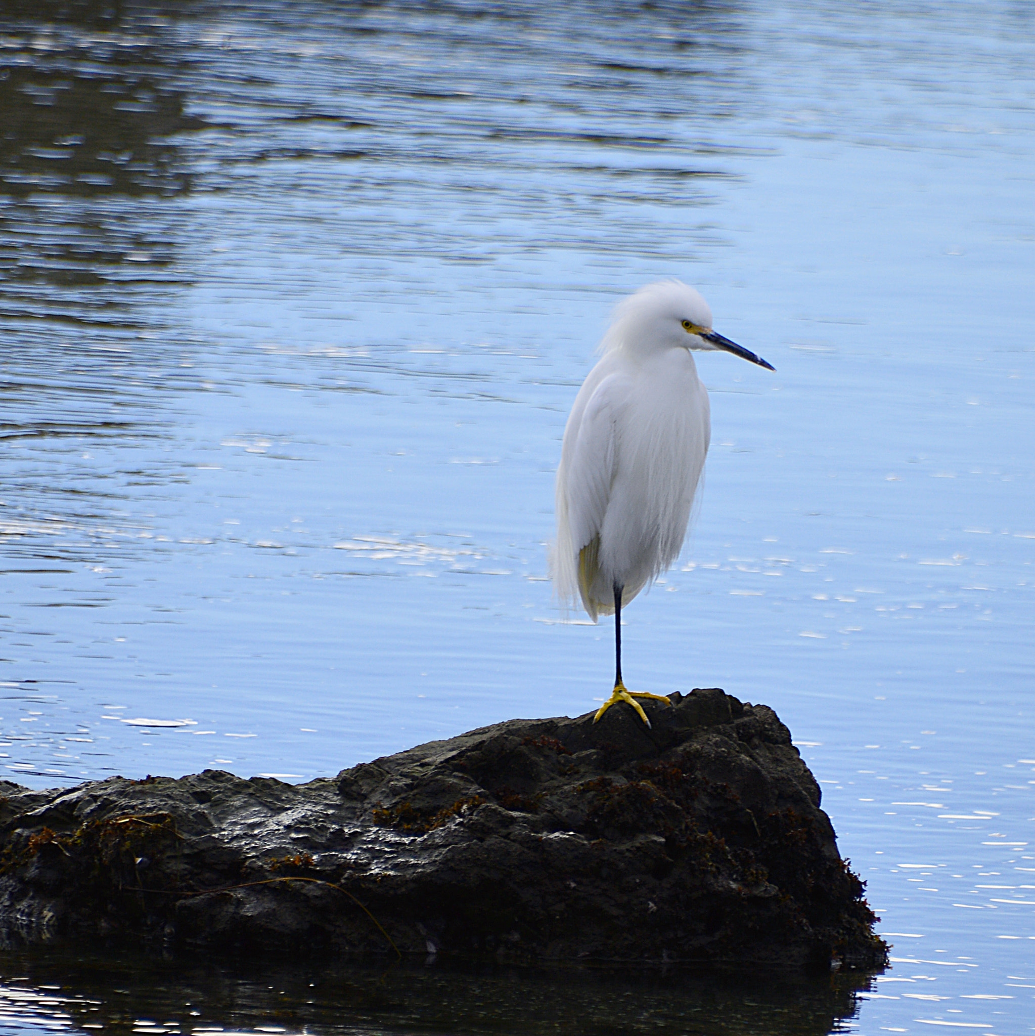 Nikon D3200 sample photo. Resting photography
