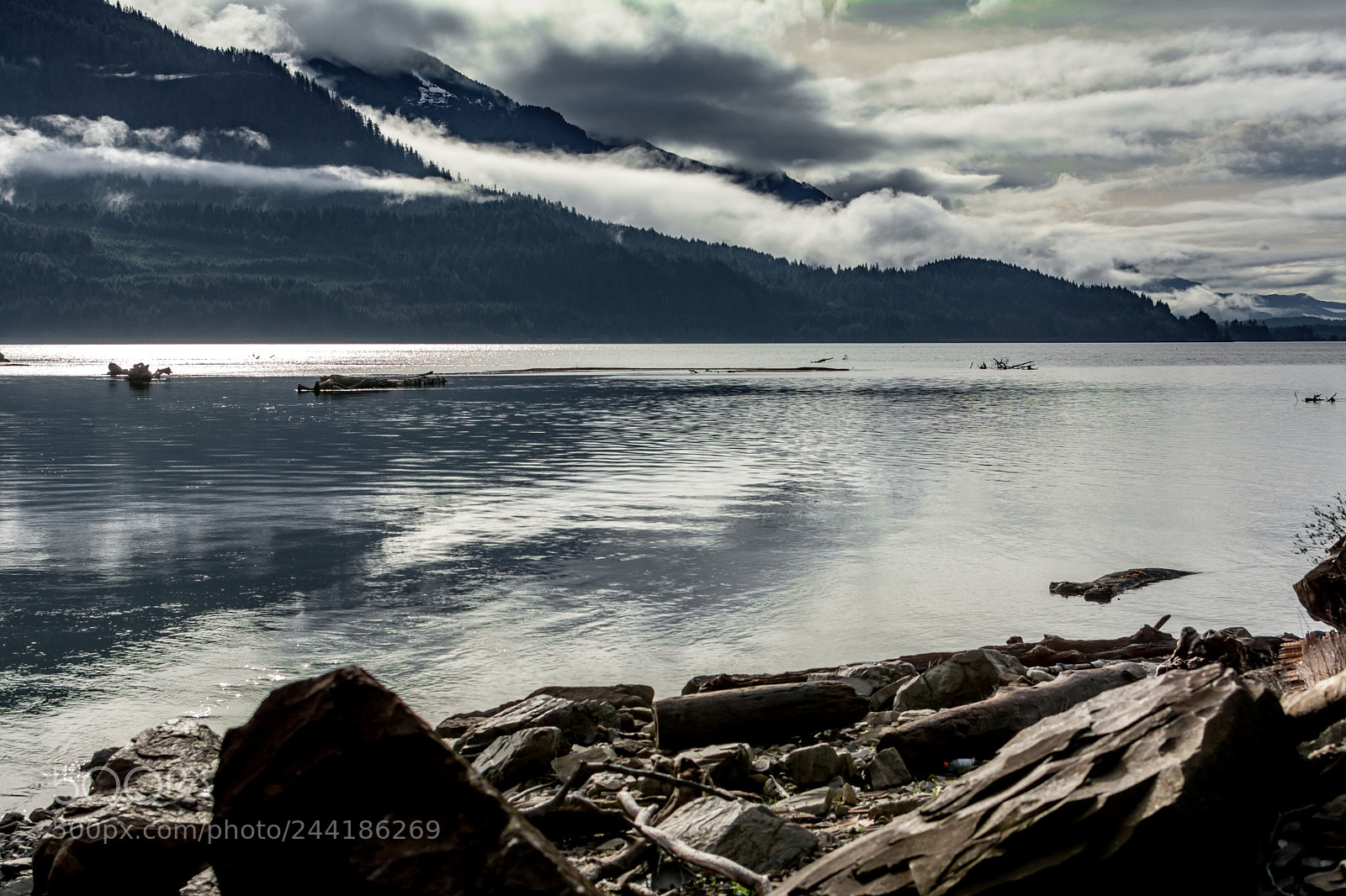 Nikon D7100 sample photo. Facing west photography