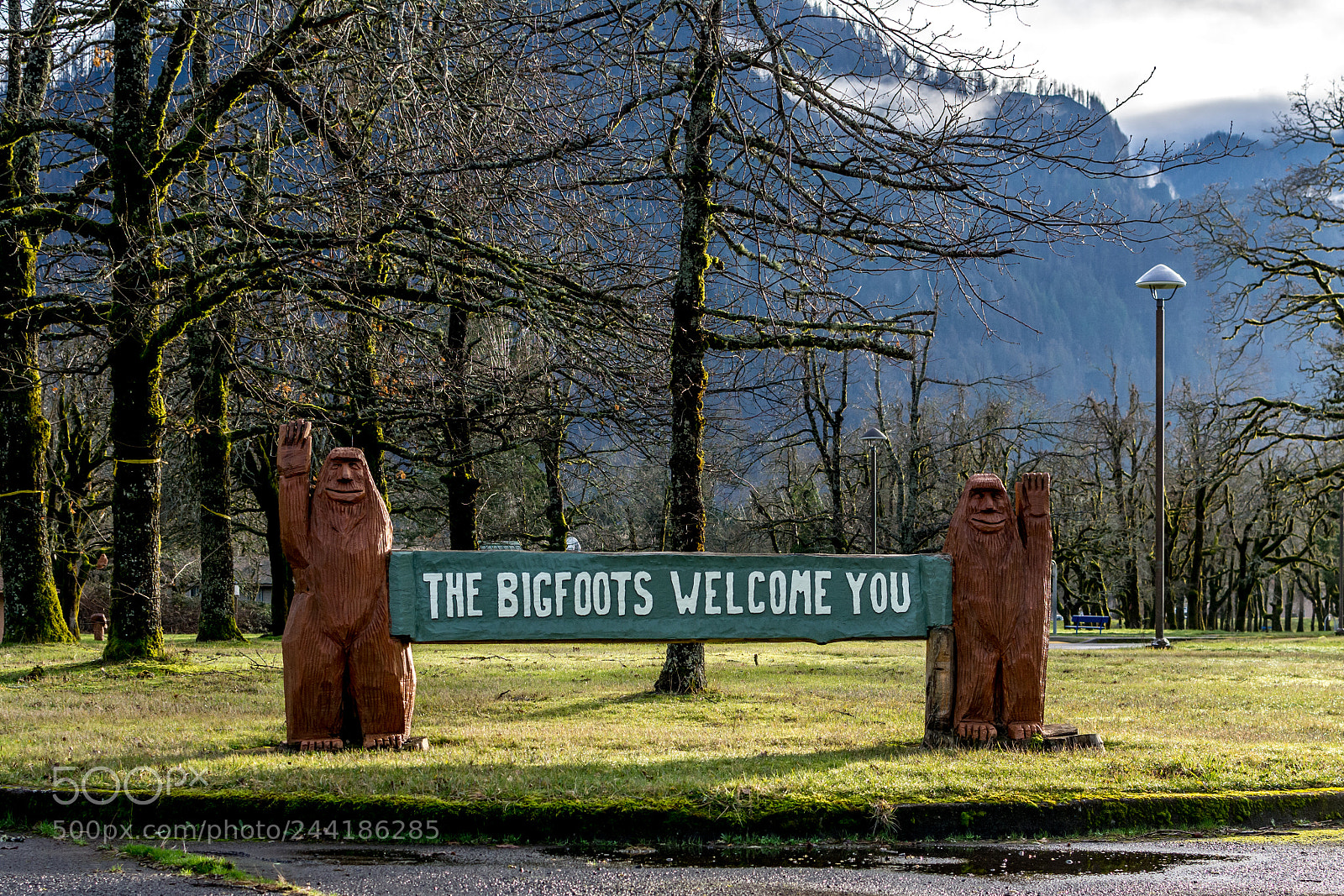 Nikon D7100 sample photo. The bigfoots welcome you photography
