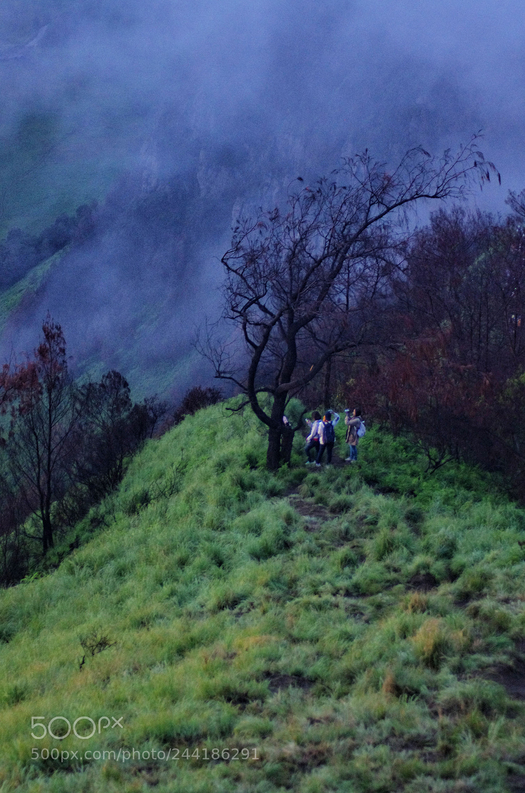Pentax K-5 sample photo. Taman nasional bromo tengger photography