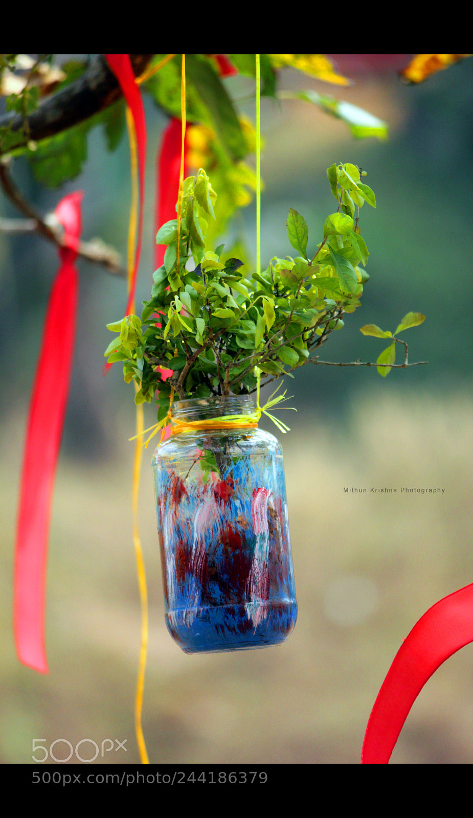 Canon EOS 60D sample photo. Img photography