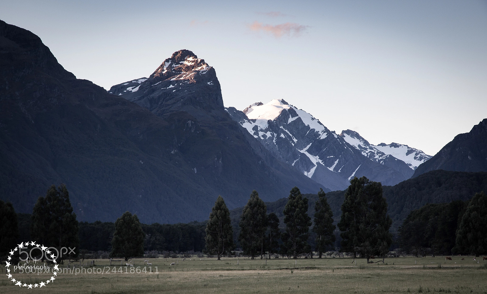 Canon EOS 7D Mark II sample photo. A view from just photography