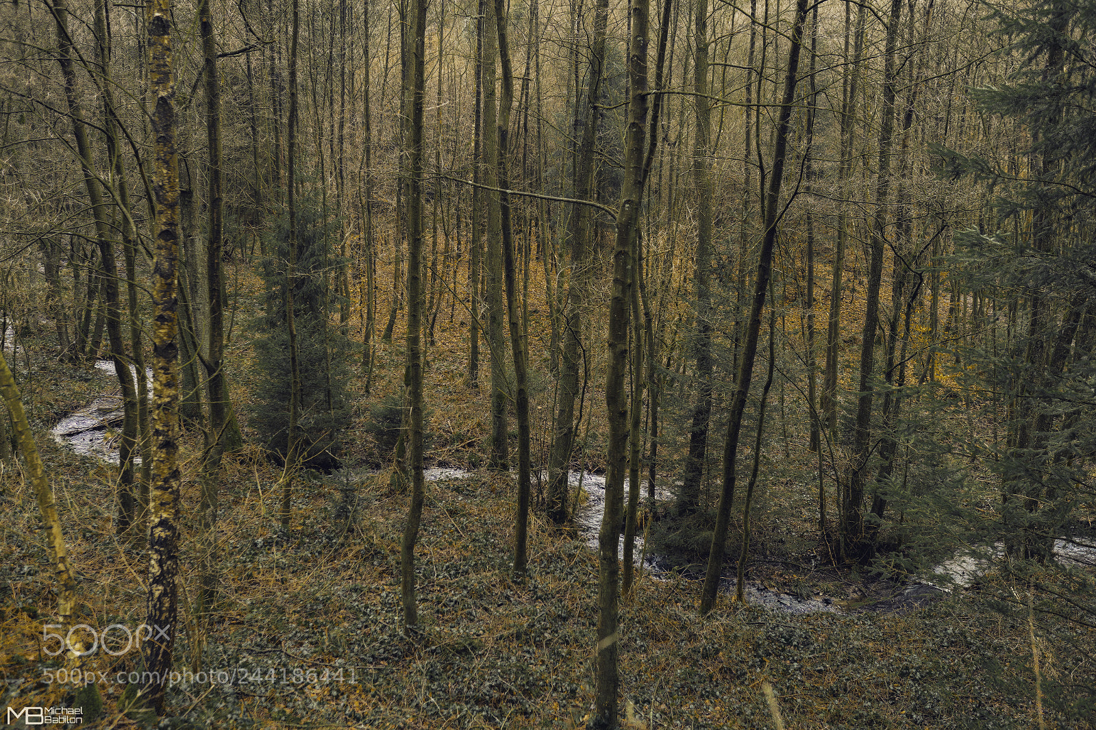 Sony a7 II sample photo. Der bach im wald photography