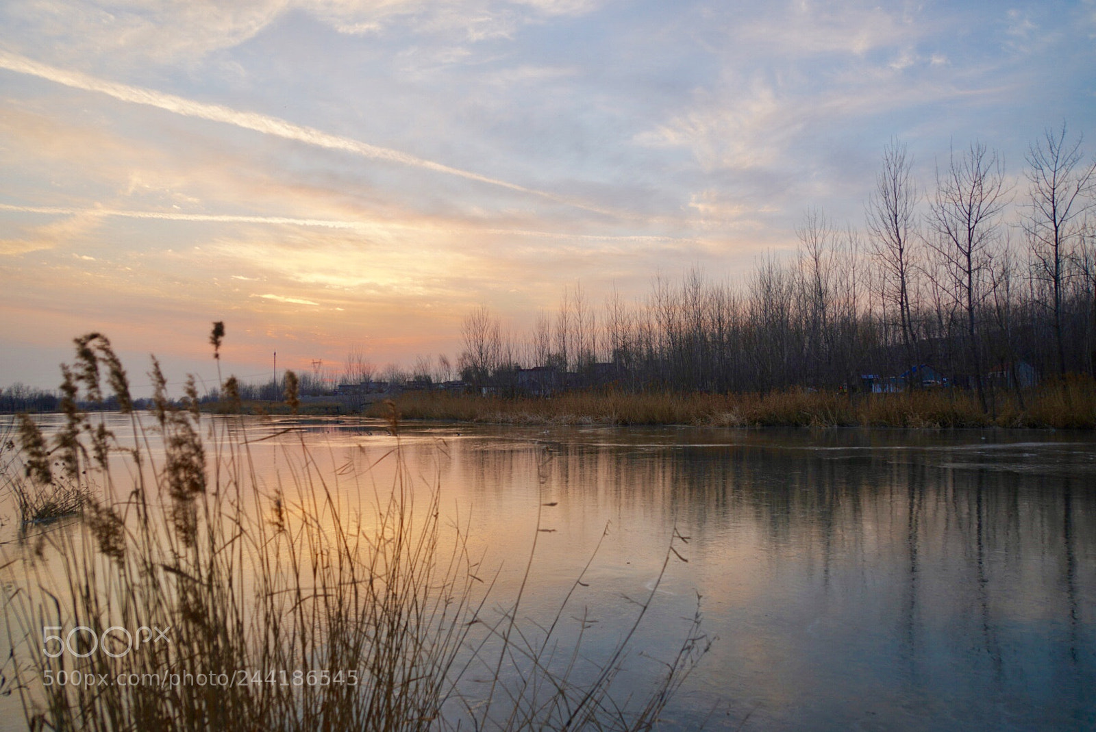 Sony a7R III sample photo. 湿地 photography