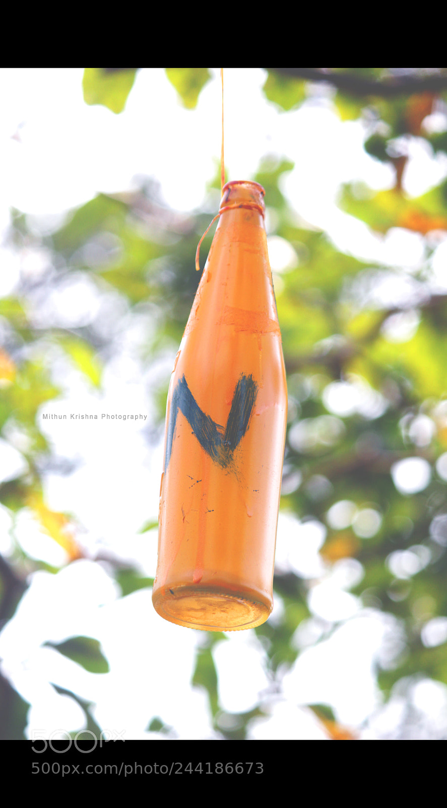 Canon EOS 60D sample photo. Img photography