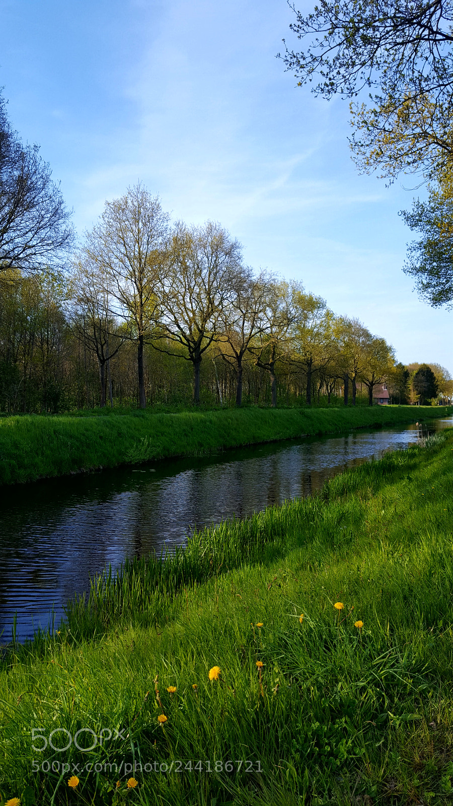 Samsung Galaxy S6 sample photo. Springtime photography