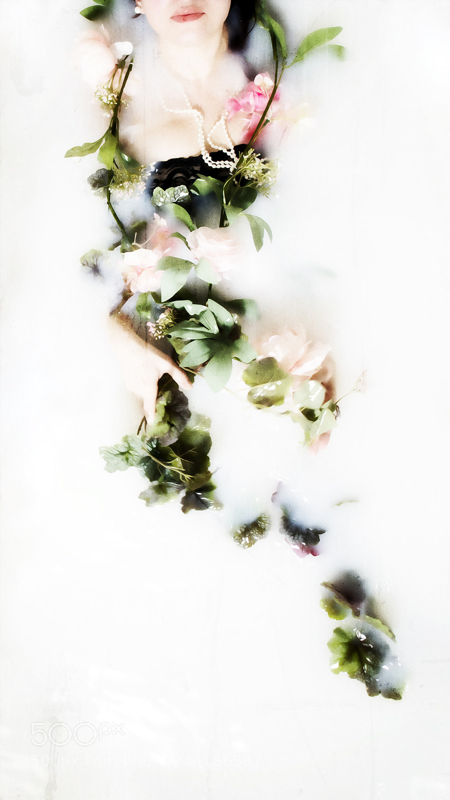 Nikon D800E sample photo. Untitled photography