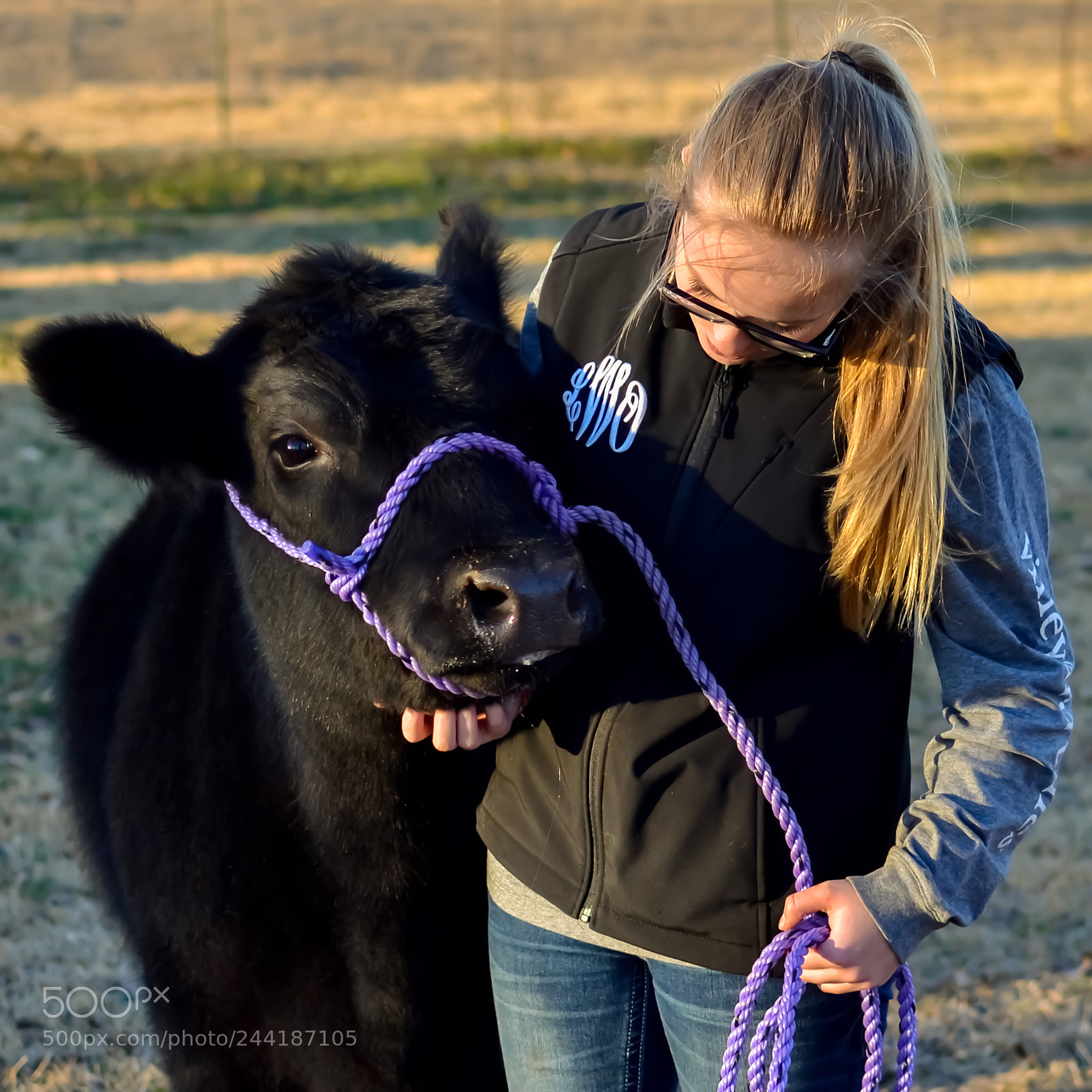 Nikon D3100 sample photo. She loves her heifer photography